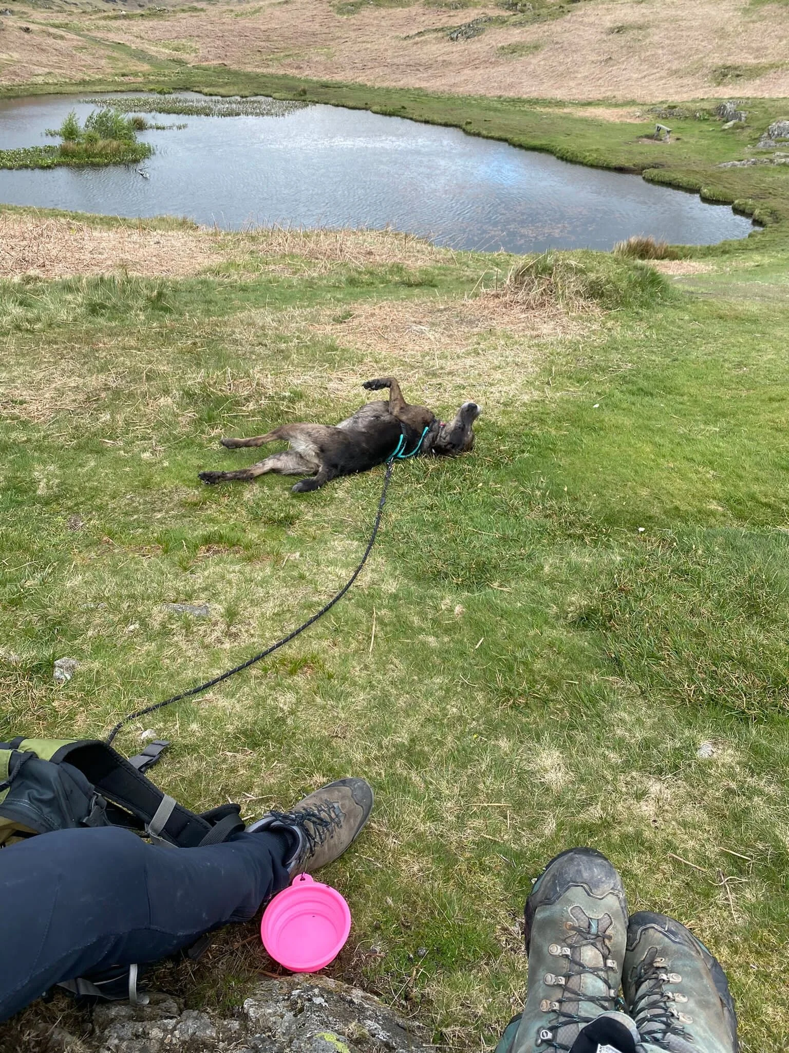 19164FD0-A803-4DFF-8DC0-669788280E06