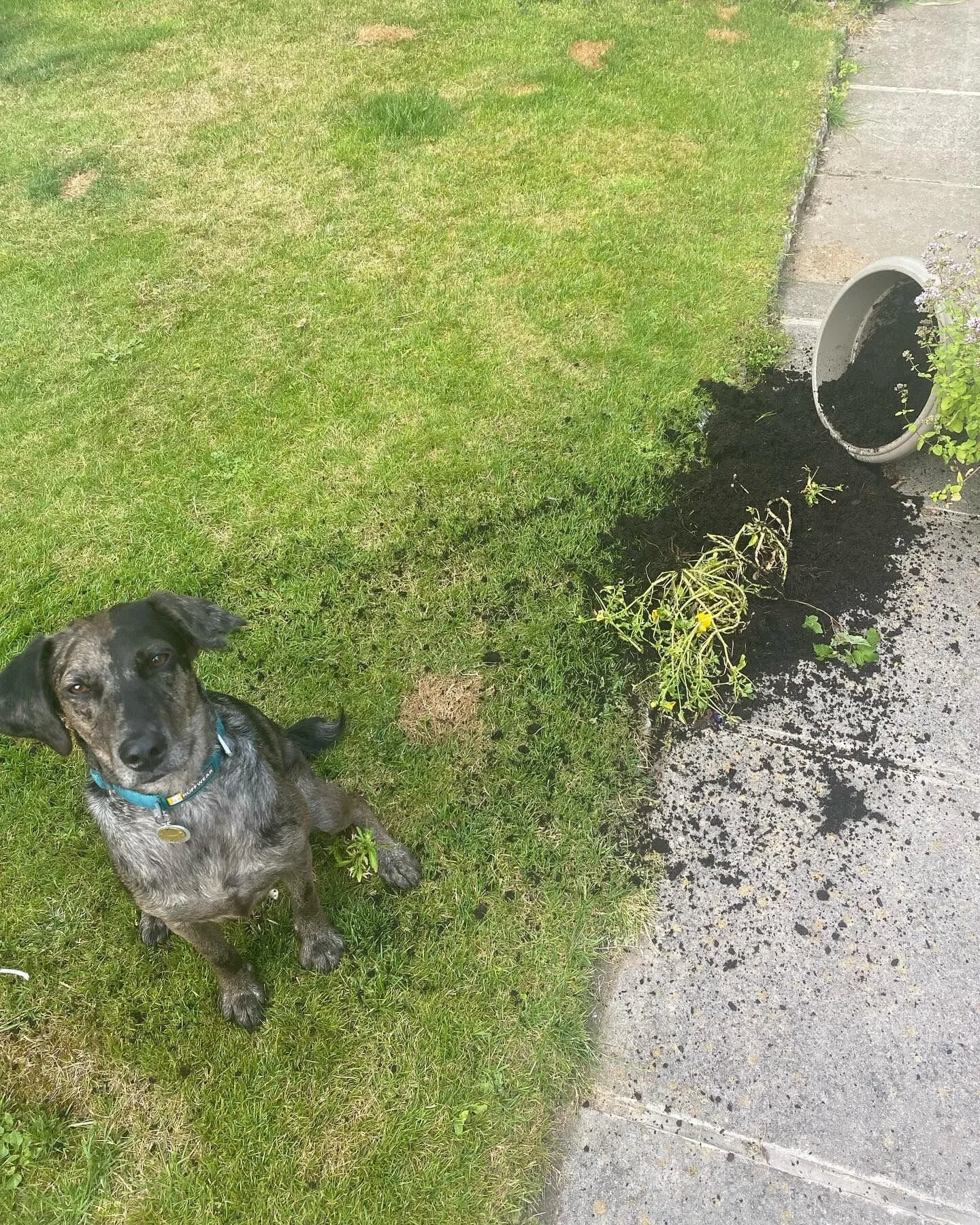 C4A432EA-94FD-4507-8882-7931DE21BC87