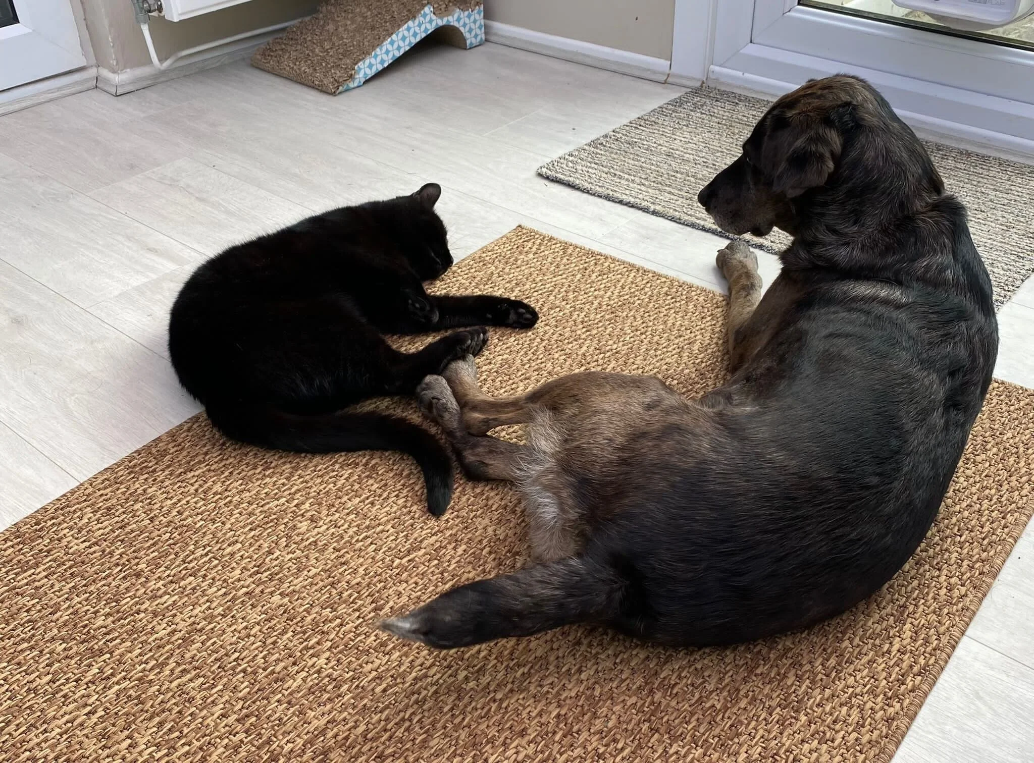 7A3CFDBC-FAC5-45D6-8FCA-D7E981F31C3D