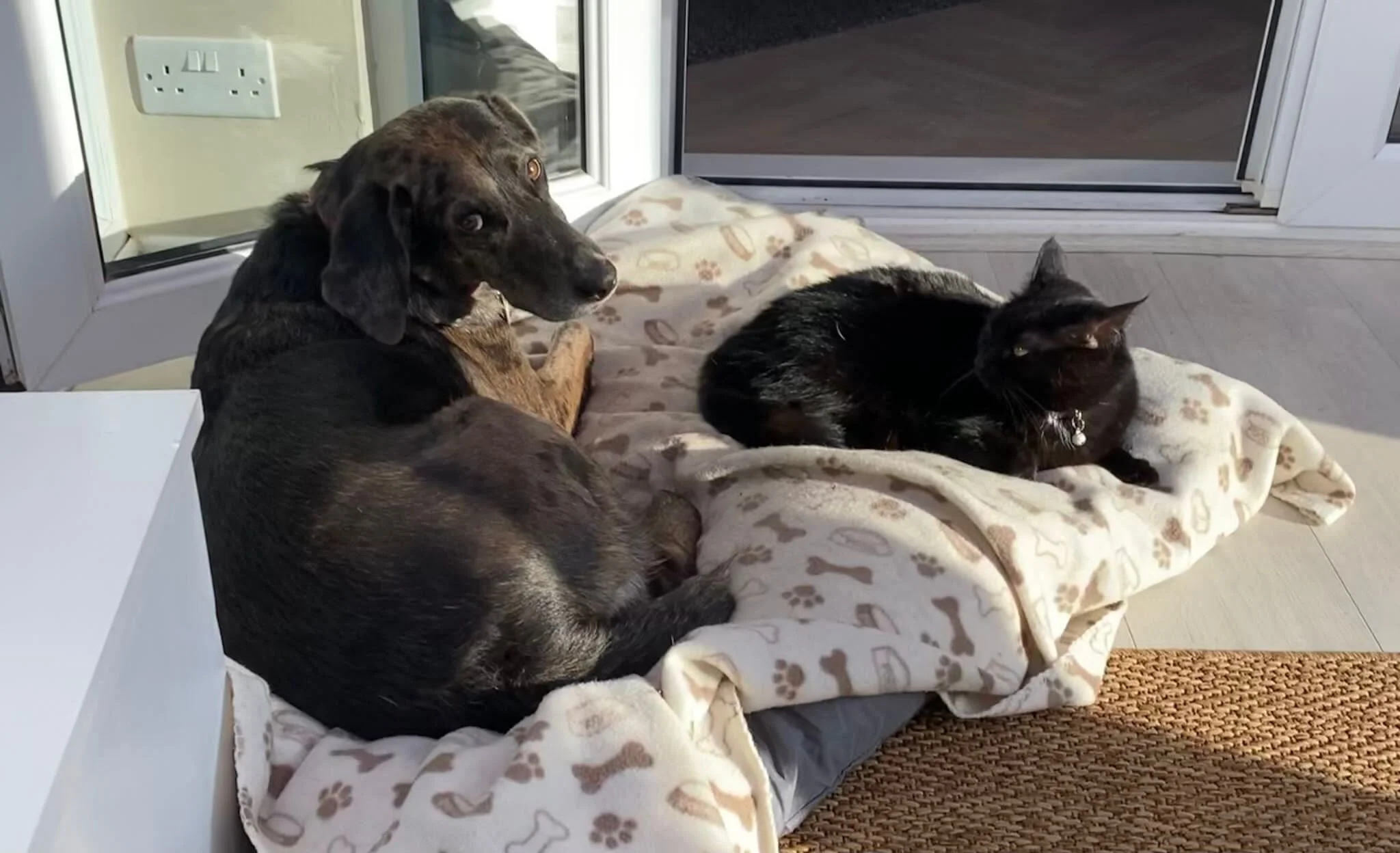 853AAE4F-D26A-4D2B-9685-ED8317D65691