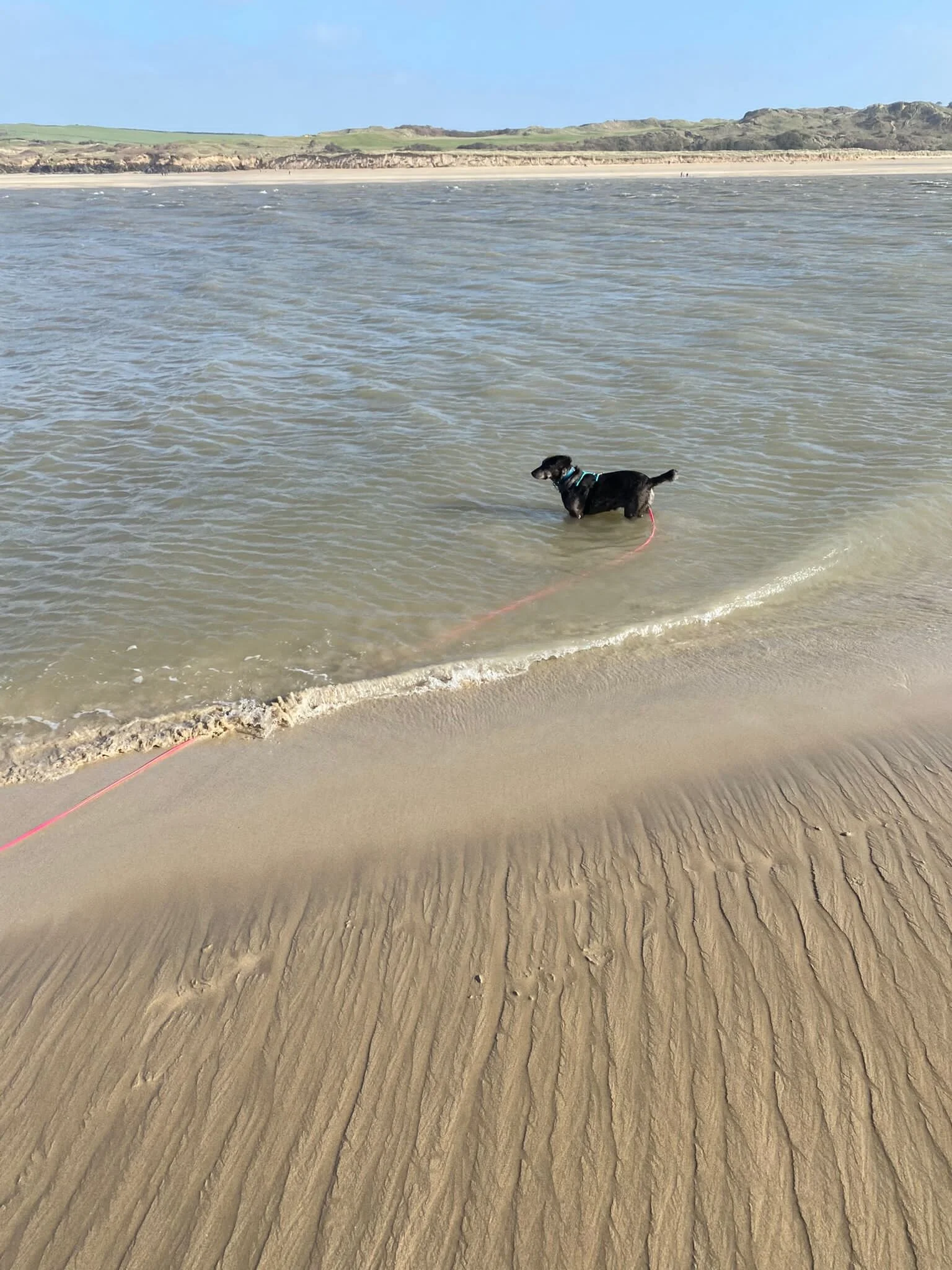 8F4856E7-0A76-40EF-BAB6-58EA9ADE65D1