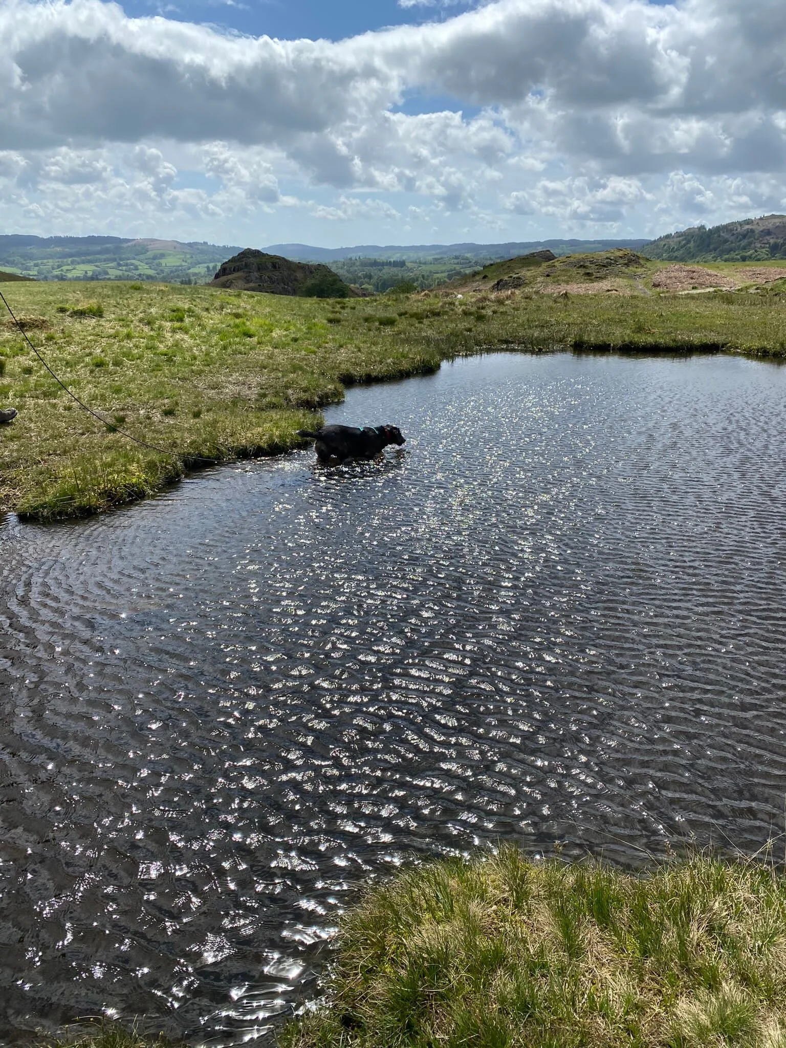 DA5533EE-8A3F-49F4-929C-E46D24280FD5