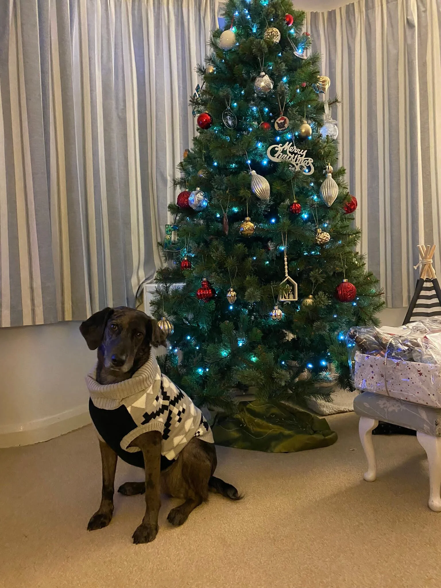 33373B1A-C420-4CB6-A432-BD9F8D844701