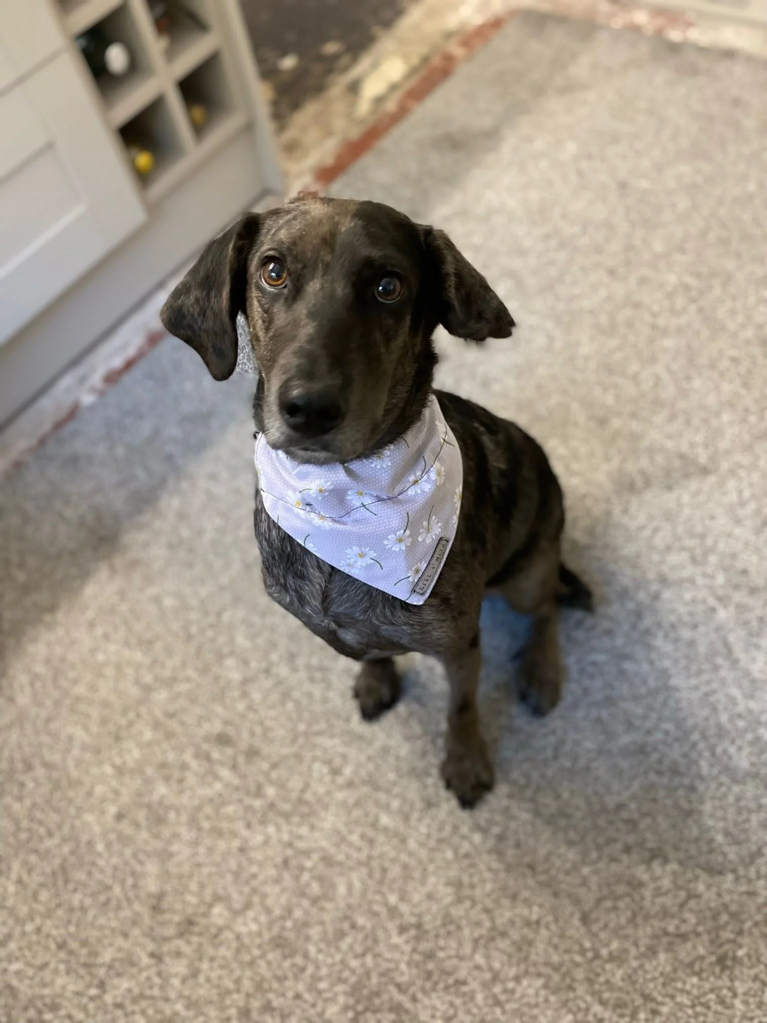 595666EE-4F0F-438D-A838-0F0A5BDDB94C