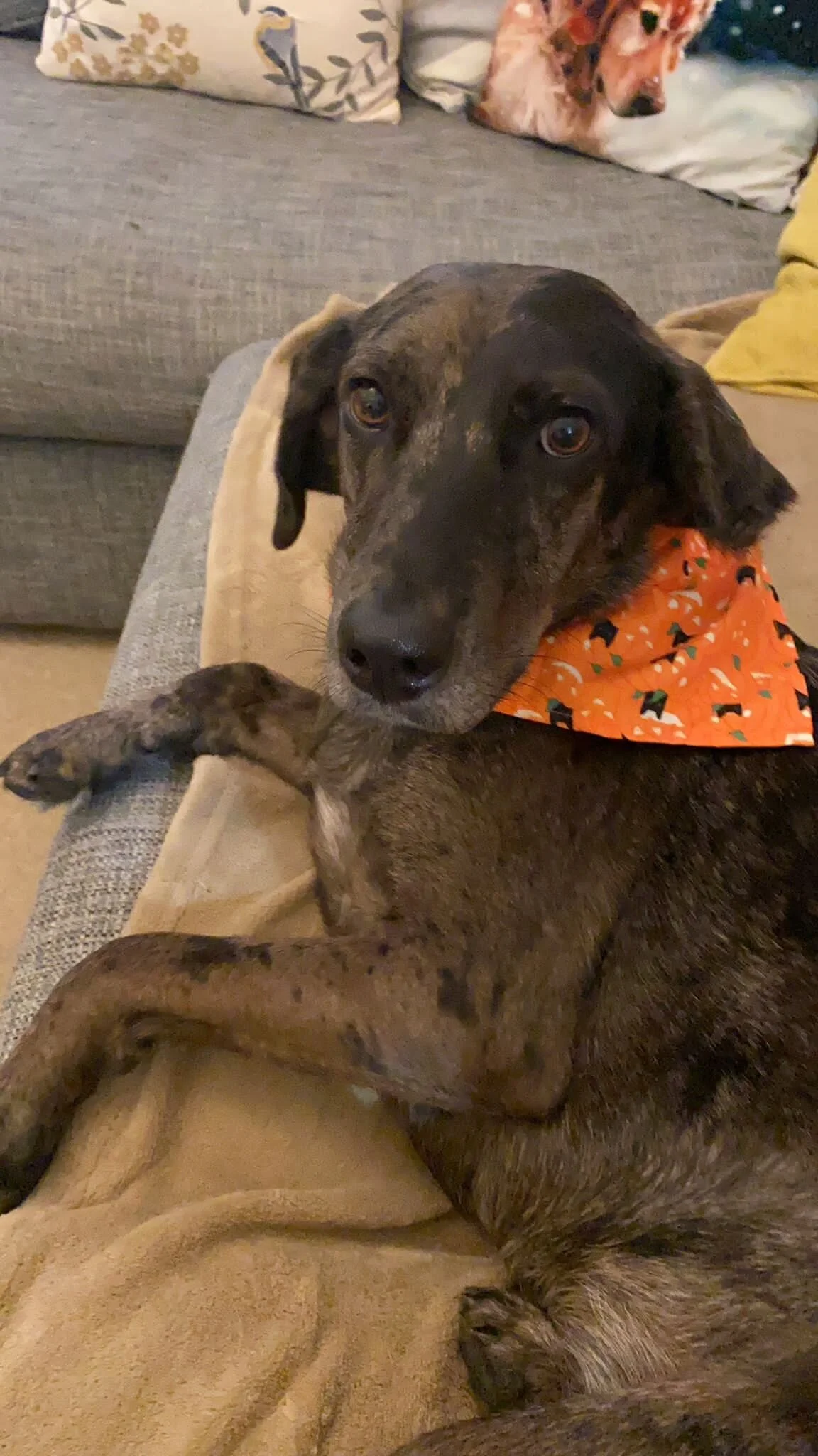 4E698E26-0F7B-417A-BE9C-8D70E2A199EE