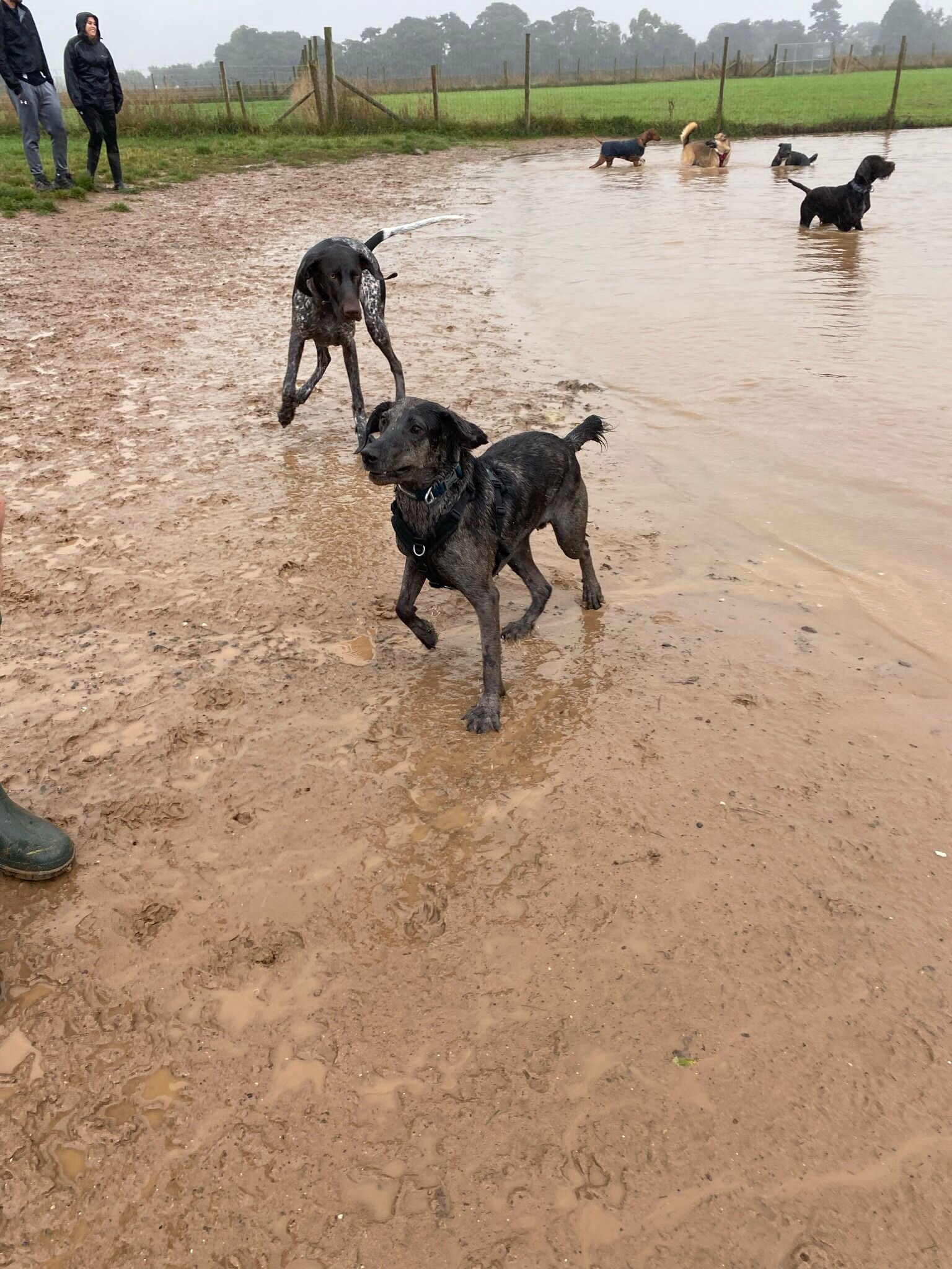 6D0D6195-DF6E-40F3-AD43-C0945F52C2D5