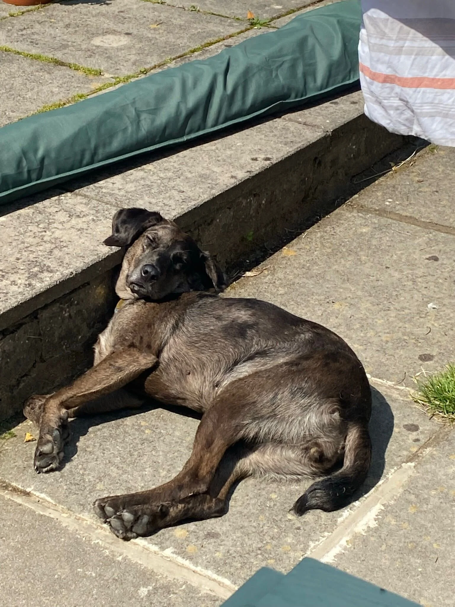 92F3FE59-39A6-449F-8A29-C65713A31E7A