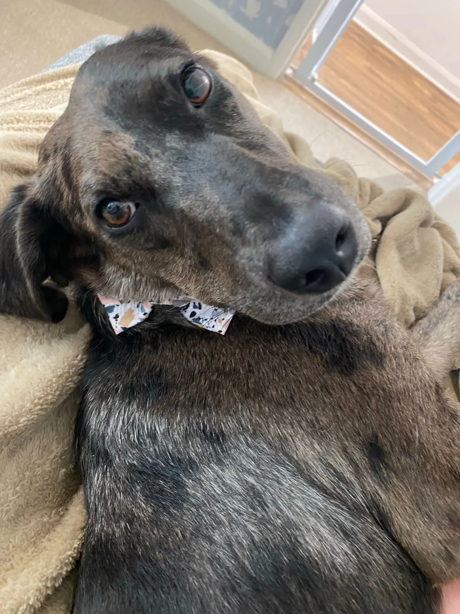 48F726B1-068B-4E85-BE32-88E7AAE874E9