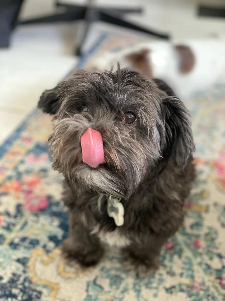 D8E67102-FB4A-454A-ADE5-78EEFB815FCB