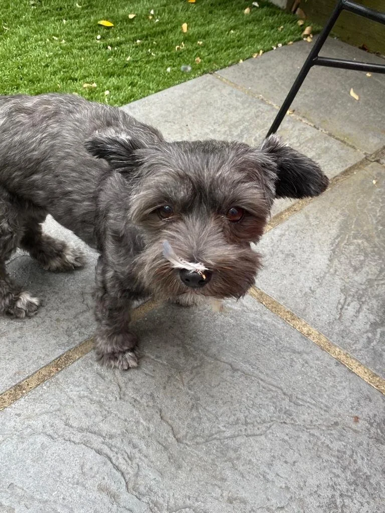 E8C9FA24-7E3D-4BF0-A561-4512B9002D3E