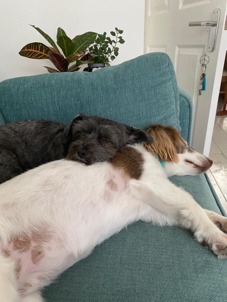 24AD0A5E-E489-4310-9BA7-D8B0FD0172C3