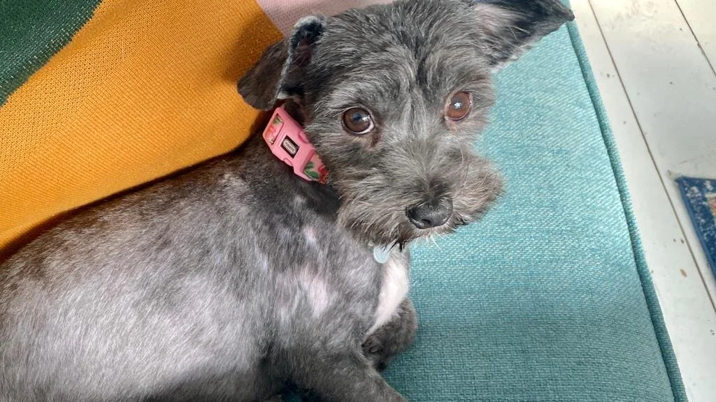 191E70C1-A008-4989-A90C-038D555BF68E