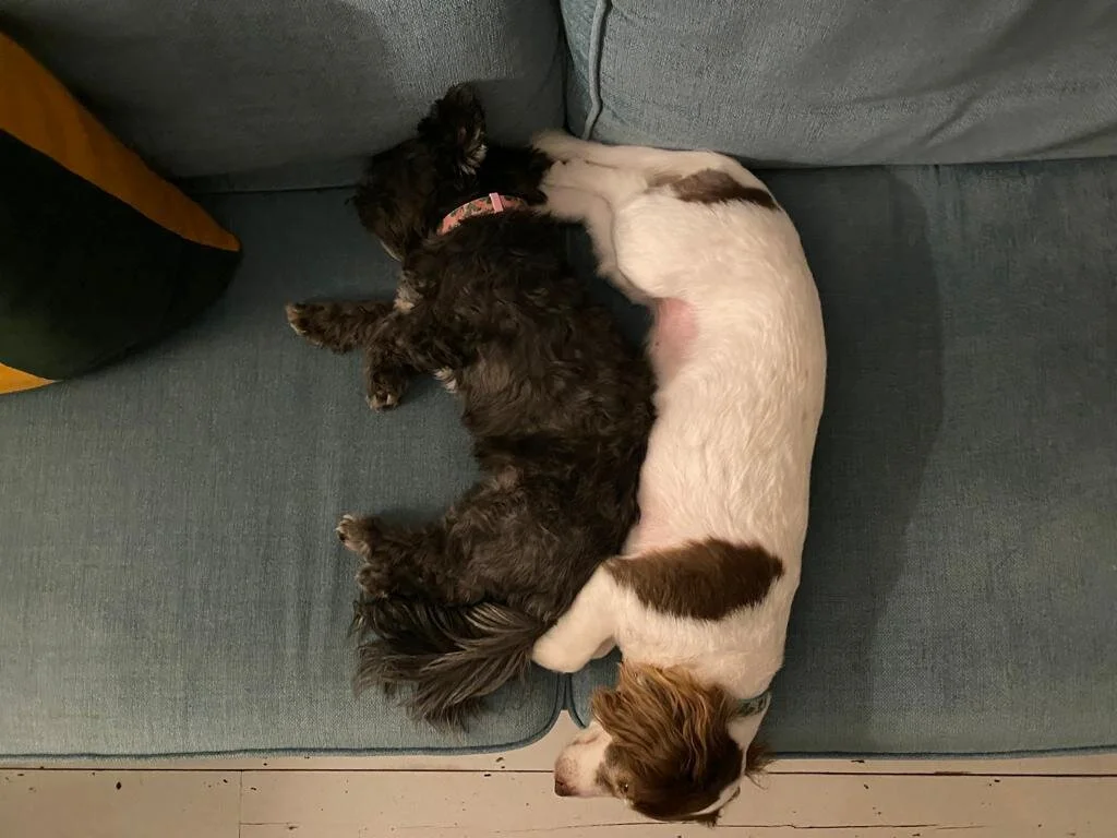 773342DA-38A7-4F59-8DFB-DC25DD393249