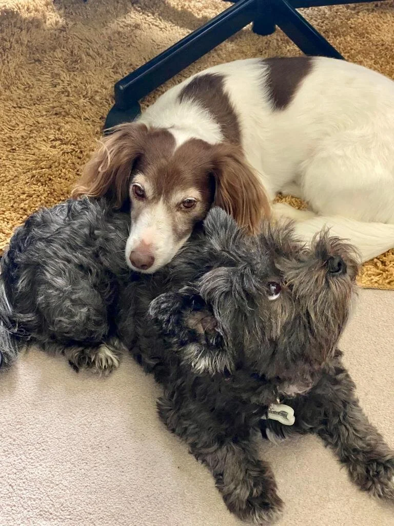 2C32F021-BB0C-44DC-8F56-90436E121B46