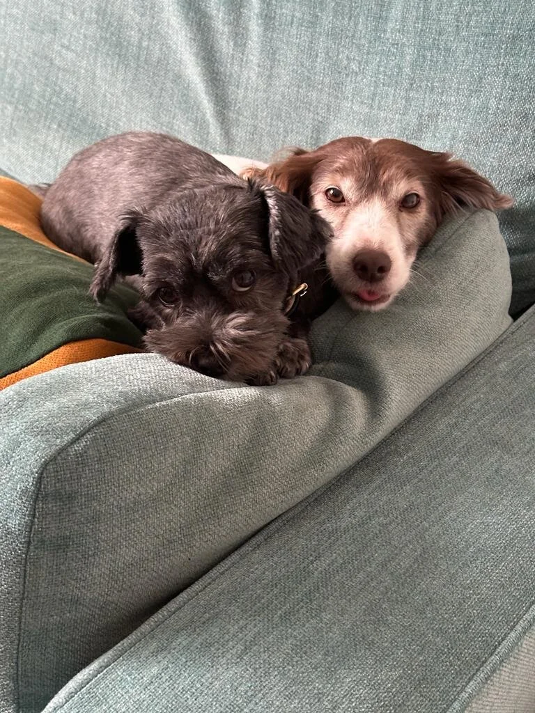 299794AB-C093-4264-A227-C3212FB42E01