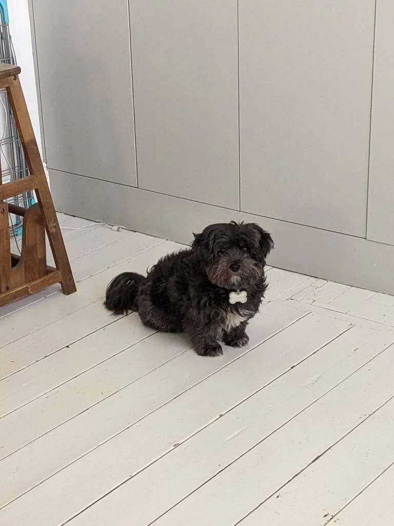 95E815A1-B78B-4190-81CE-D4B962B8F000