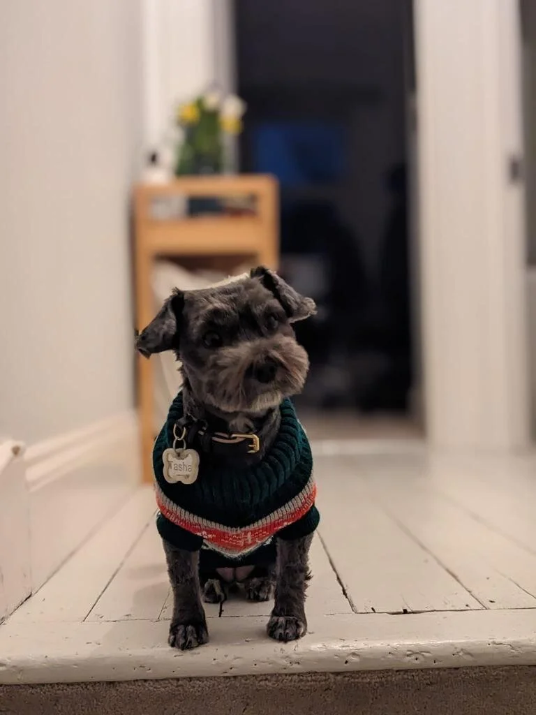 F3DB7D7E-C179-494C-AE22-791392AF75E8