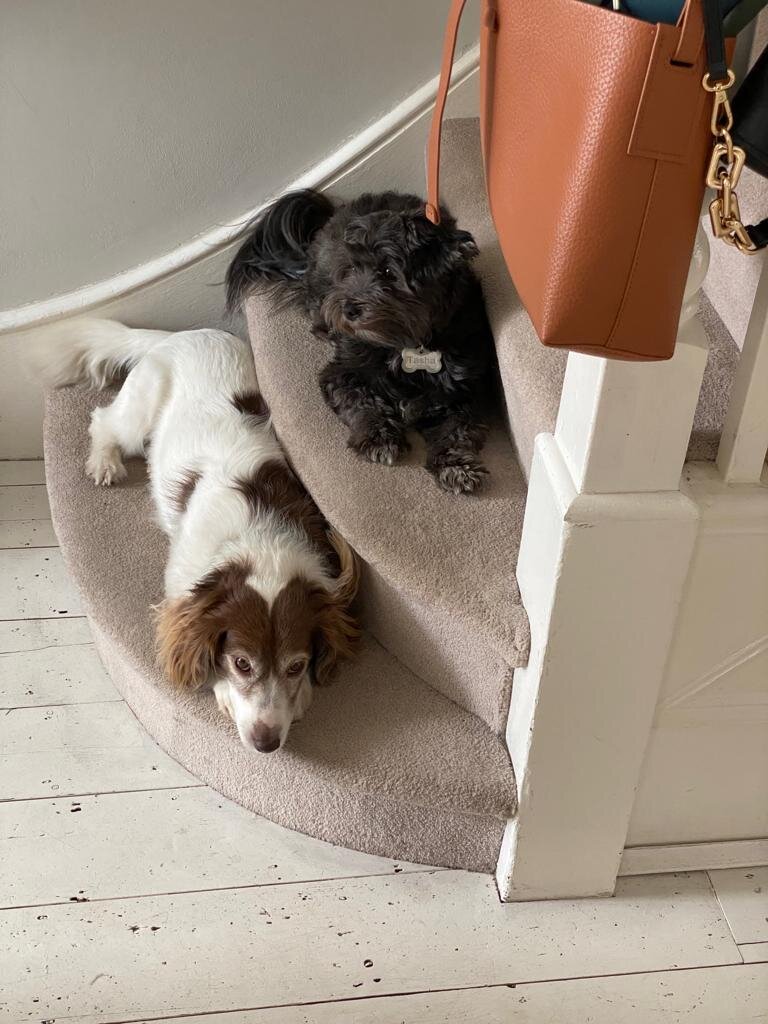 E230FBF6-9954-4B44-9FDF-F5DA2D456650