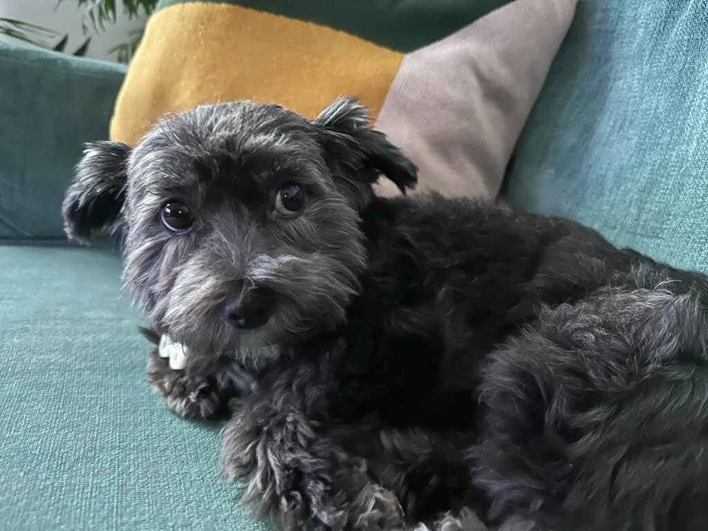 DED9BFE2-03F1-43FE-9AF7-64C717602B52