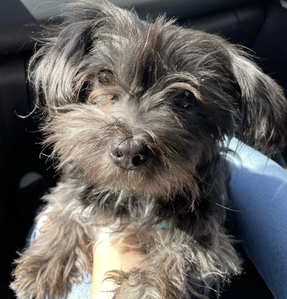 B754B6DE-BA8B-4D8F-8E62-5CA295E3EE49