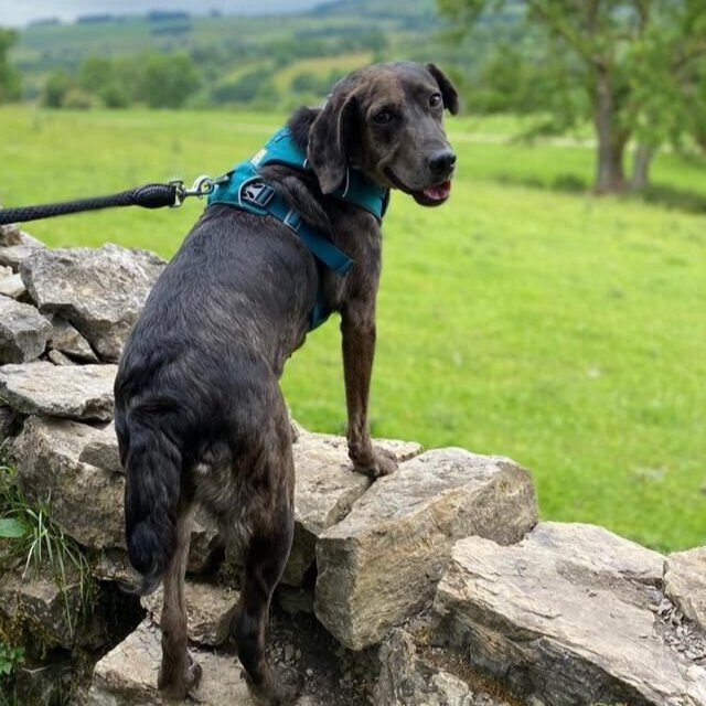 91218426-93A6-4C50-9D9B-7E846F4002E3