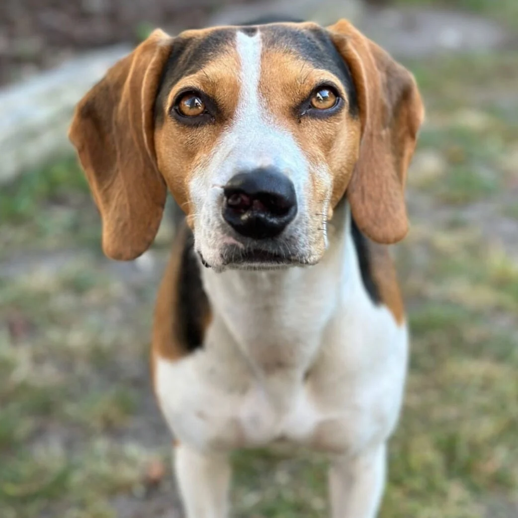 DC12DB88-27BE-494A-AD2F-CF47E54059CB