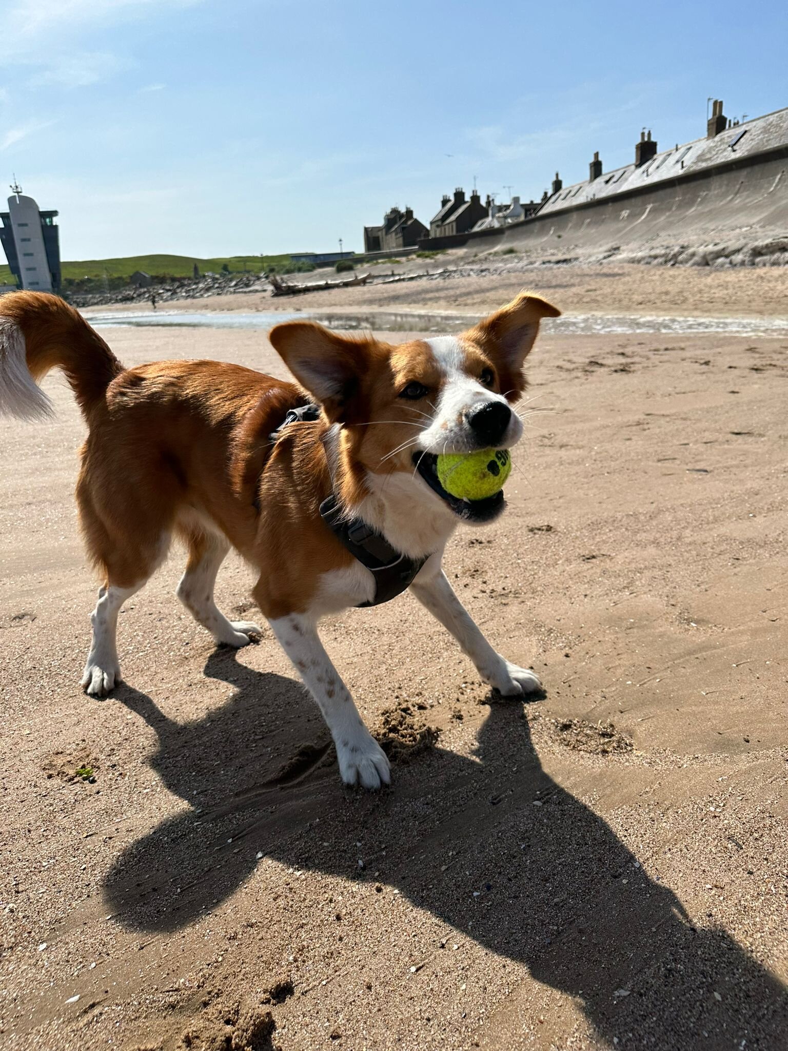 4BDF8F62-A4F9-41CB-BB05-95F9616D4341