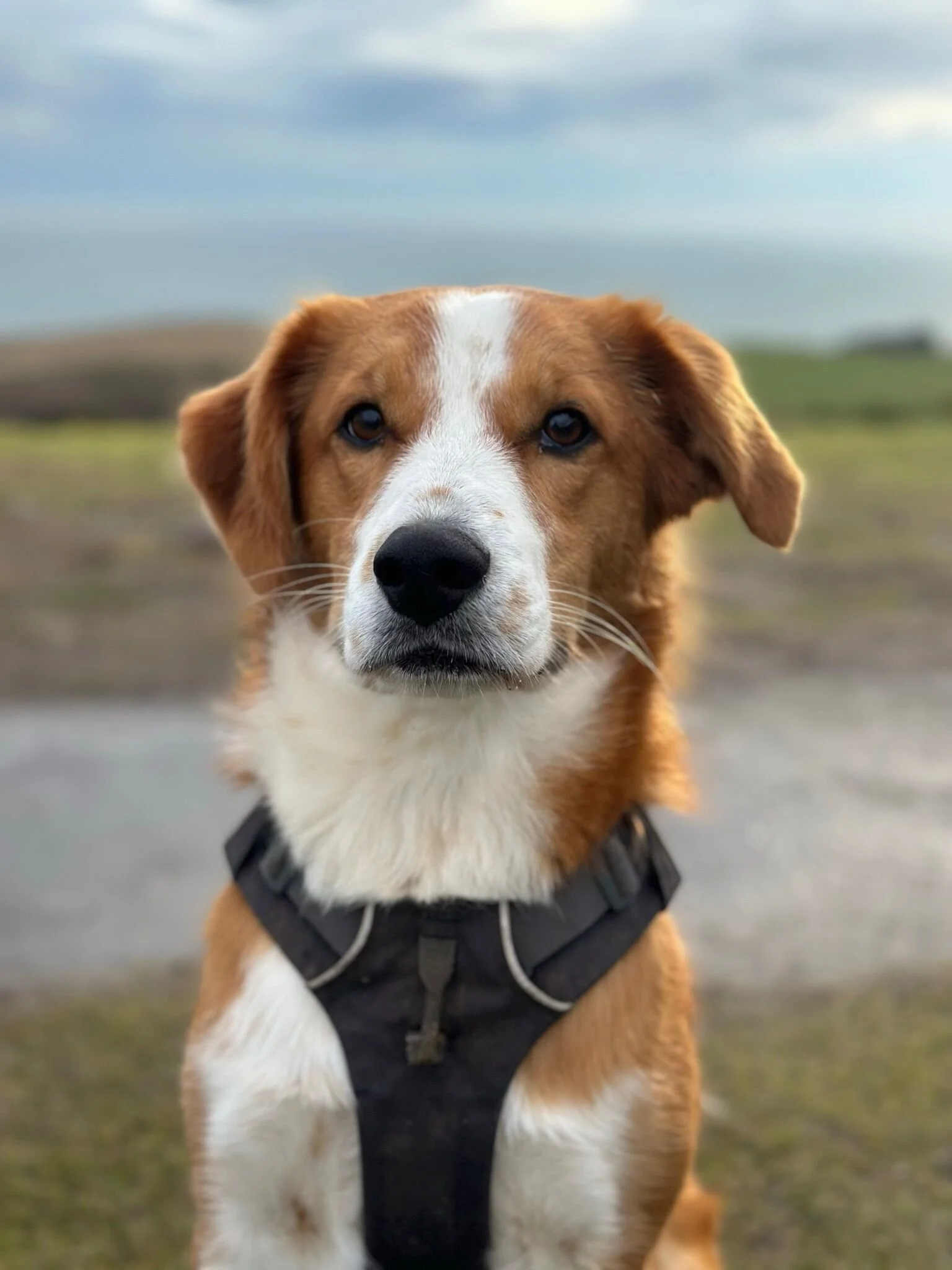 69EEBE4A-FEAC-416A-9927-46F98118A06E