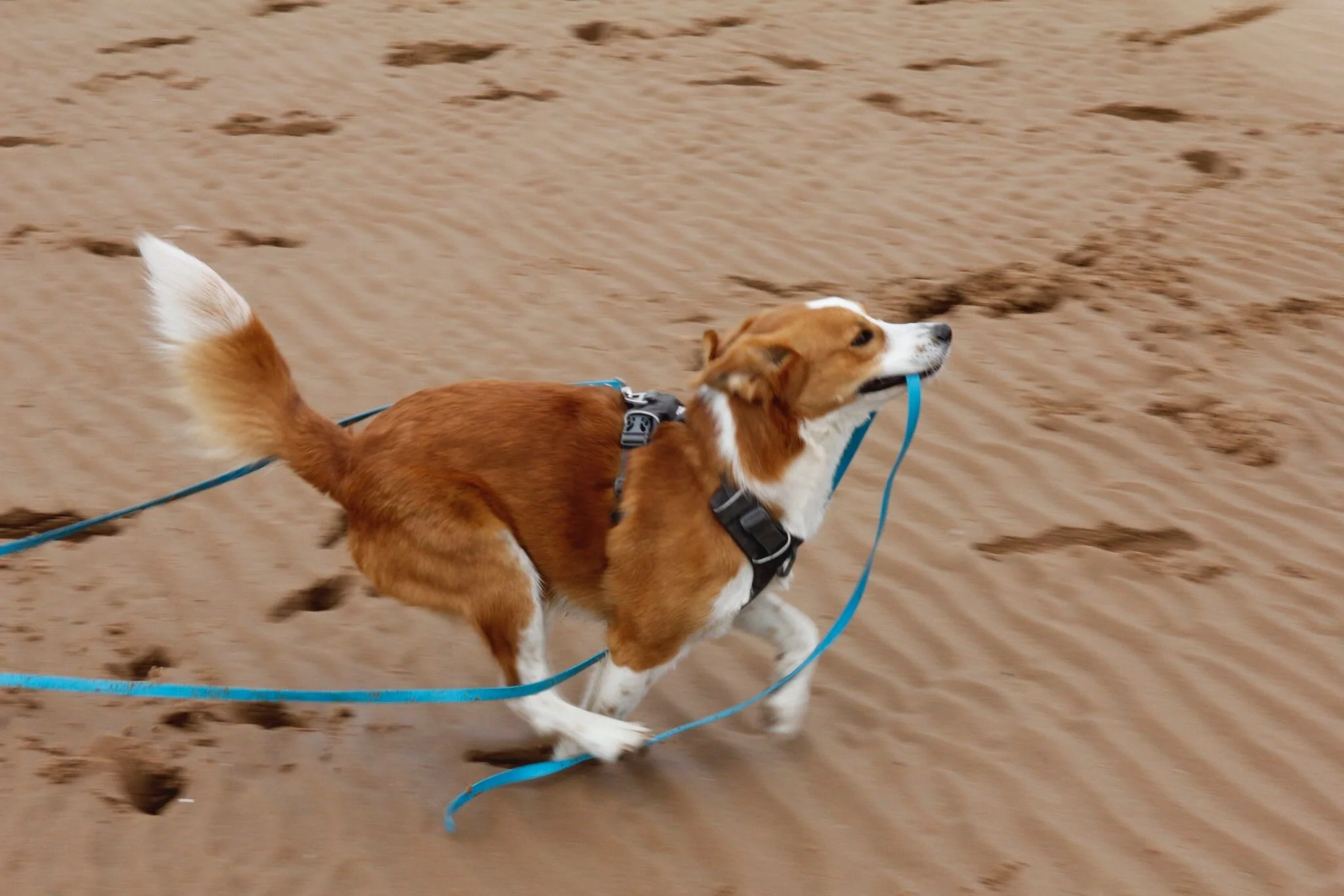 0472A385-5A5F-4D8E-8ED7-901A28C11FAE