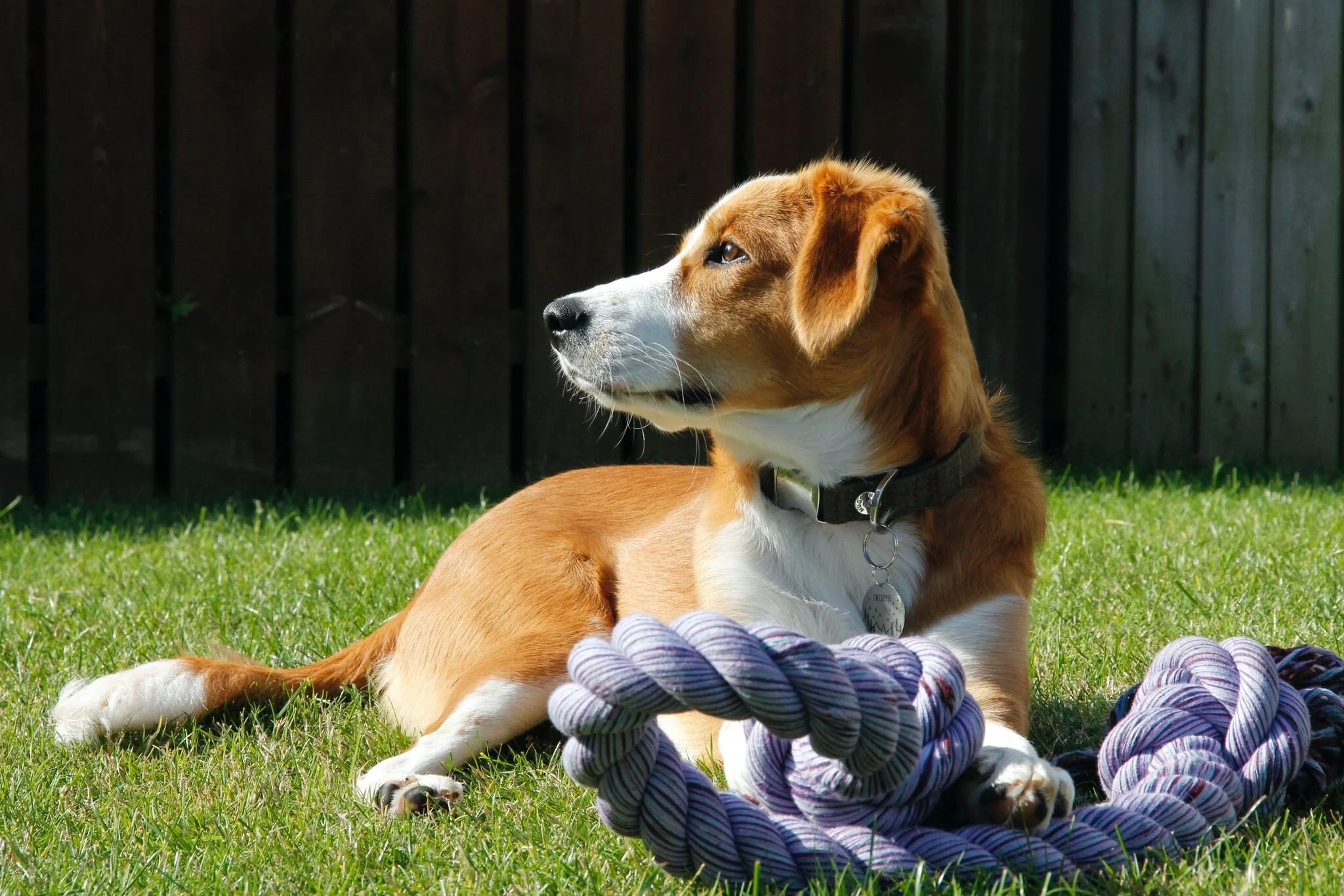 7CAB73C1-BED0-4CDF-9BD4-FC060EF4ED4A