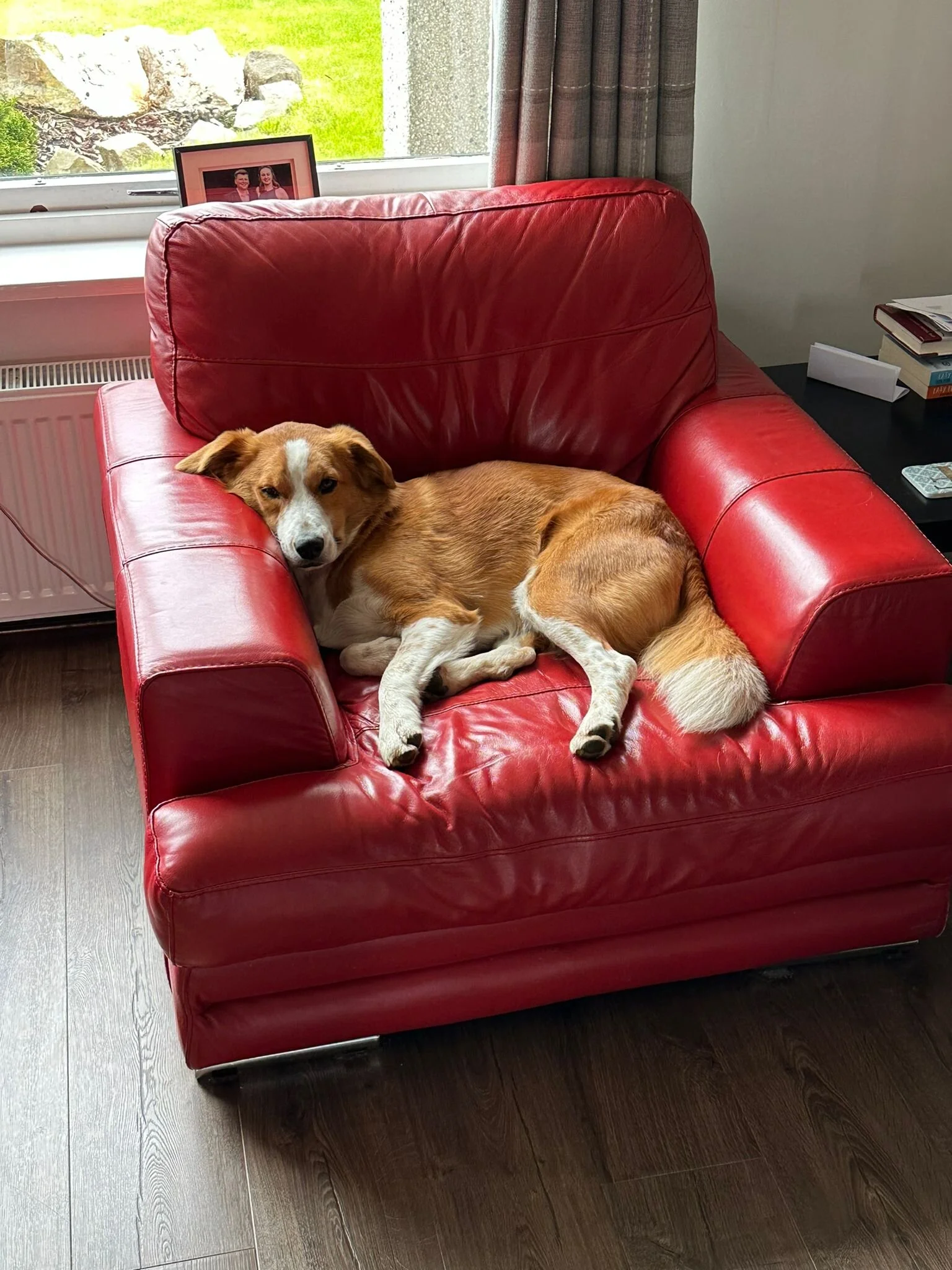 9B62EEB8-44C1-4A52-A904-40AEBCBCC005