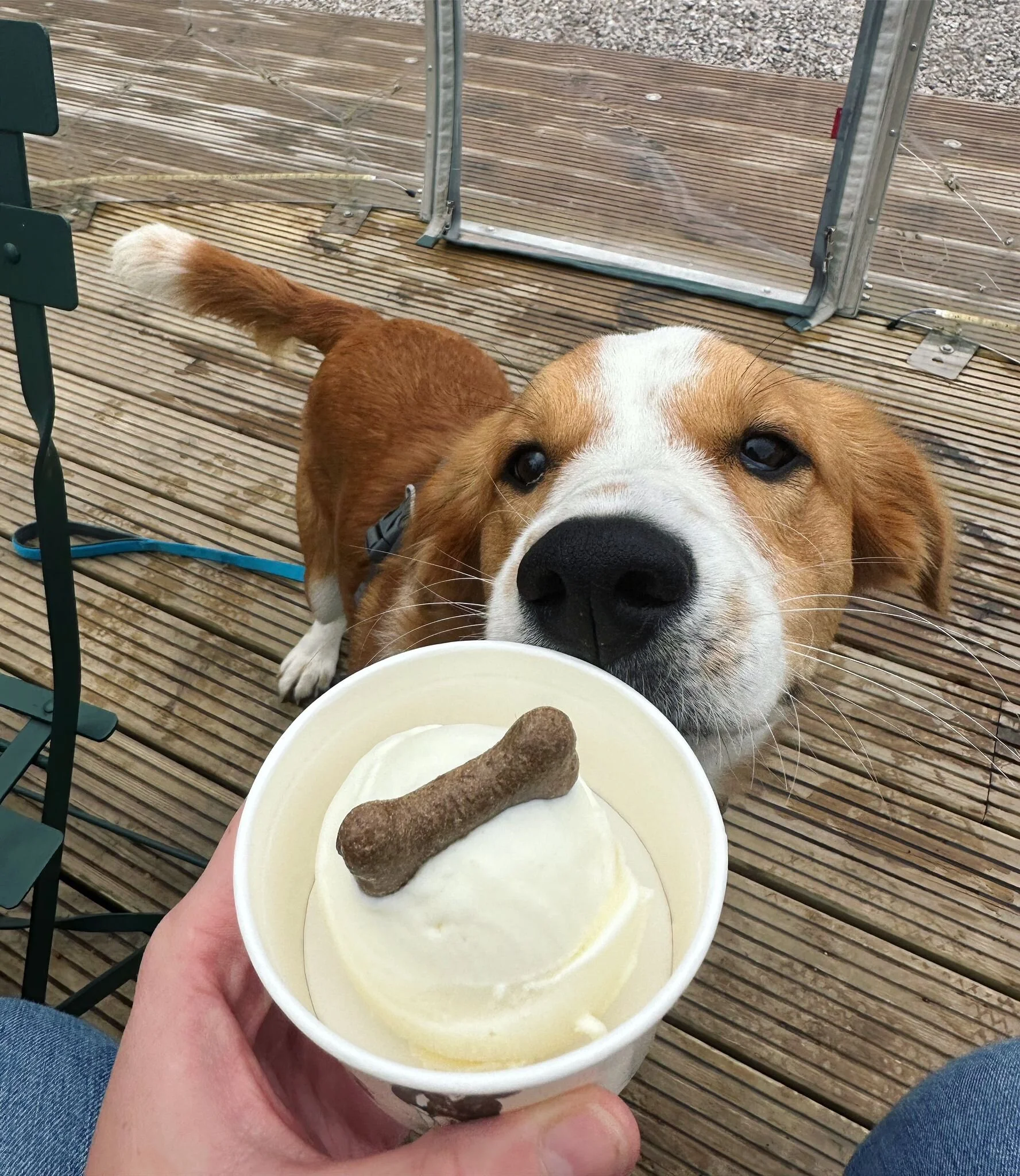 61D068A9-6DEB-4C7F-B83E-A8FD944C493A