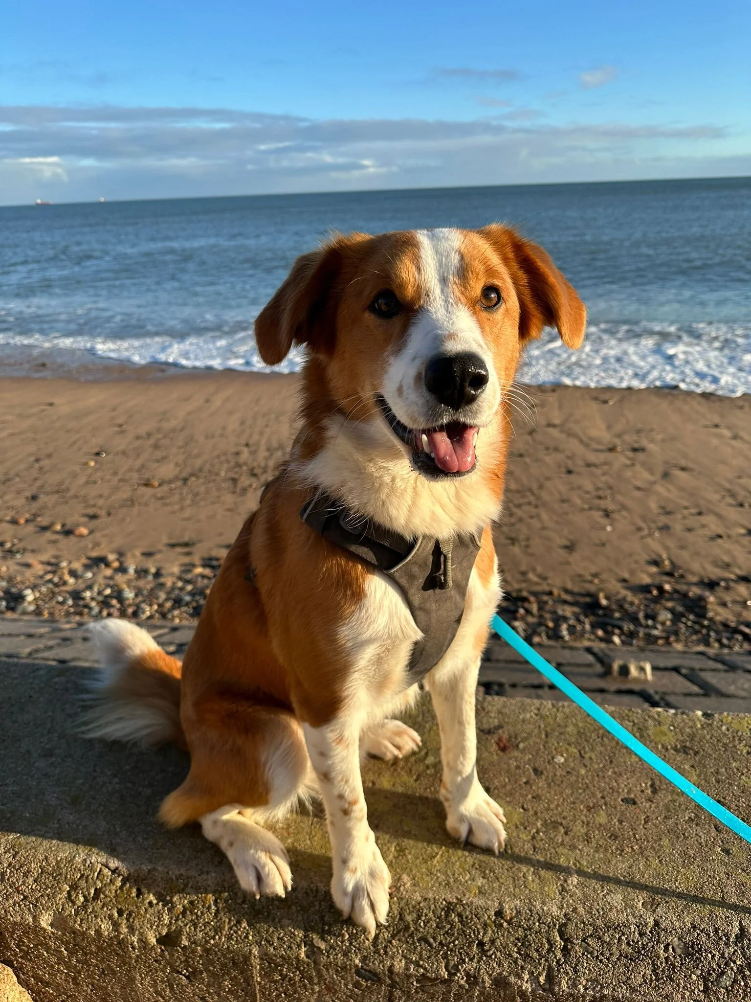 B4BB1893-188A-4450-A6ED-CFE277C41BBB