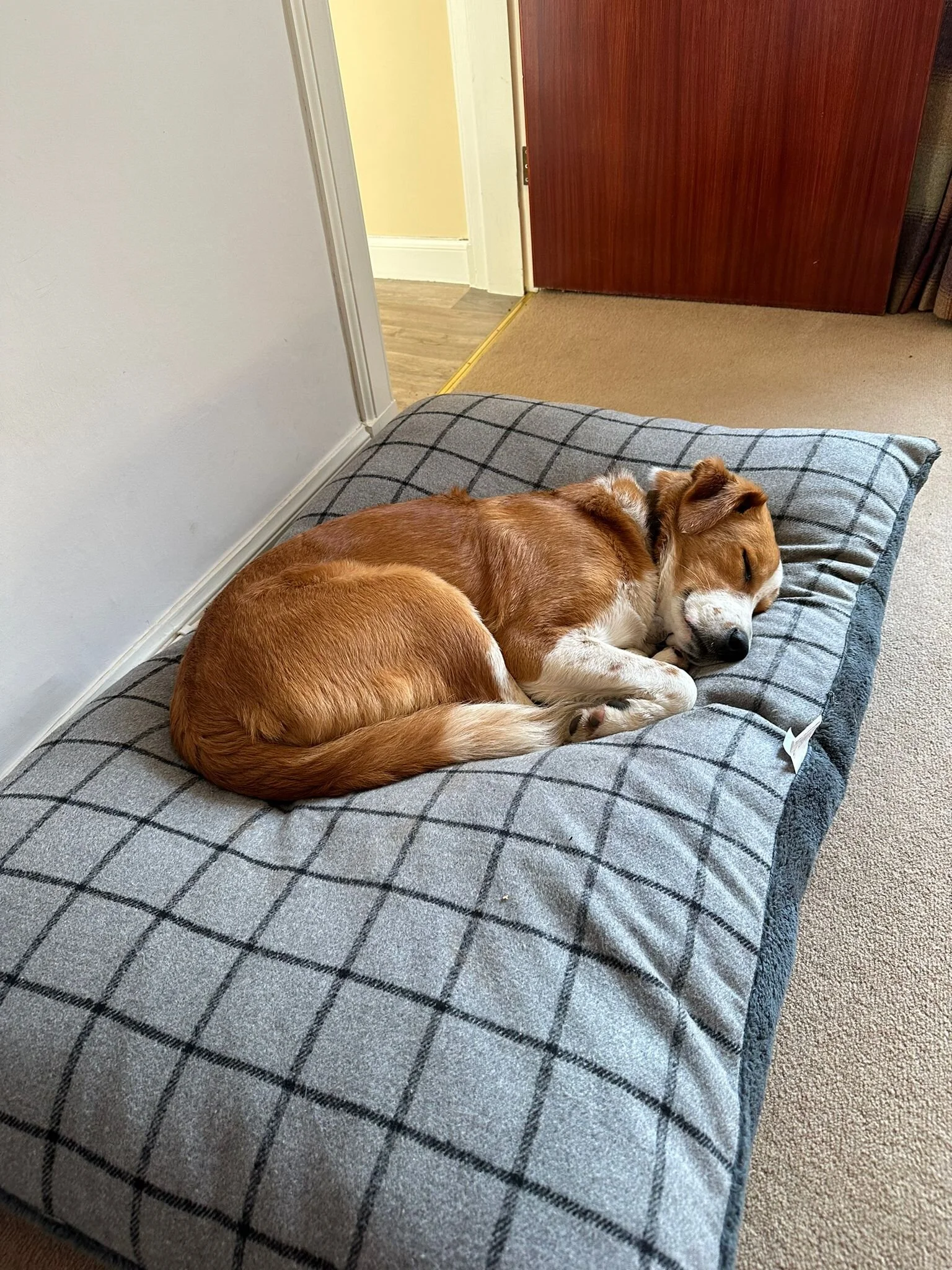 B9D9E18F-CADF-4623-B9EE-D02034067536