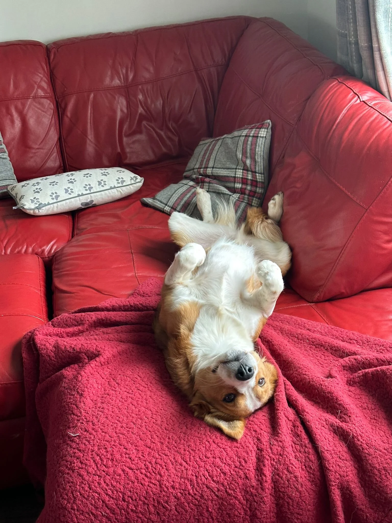 54C2CF63-0C84-4B2F-BDB5-7D545CF2CADA