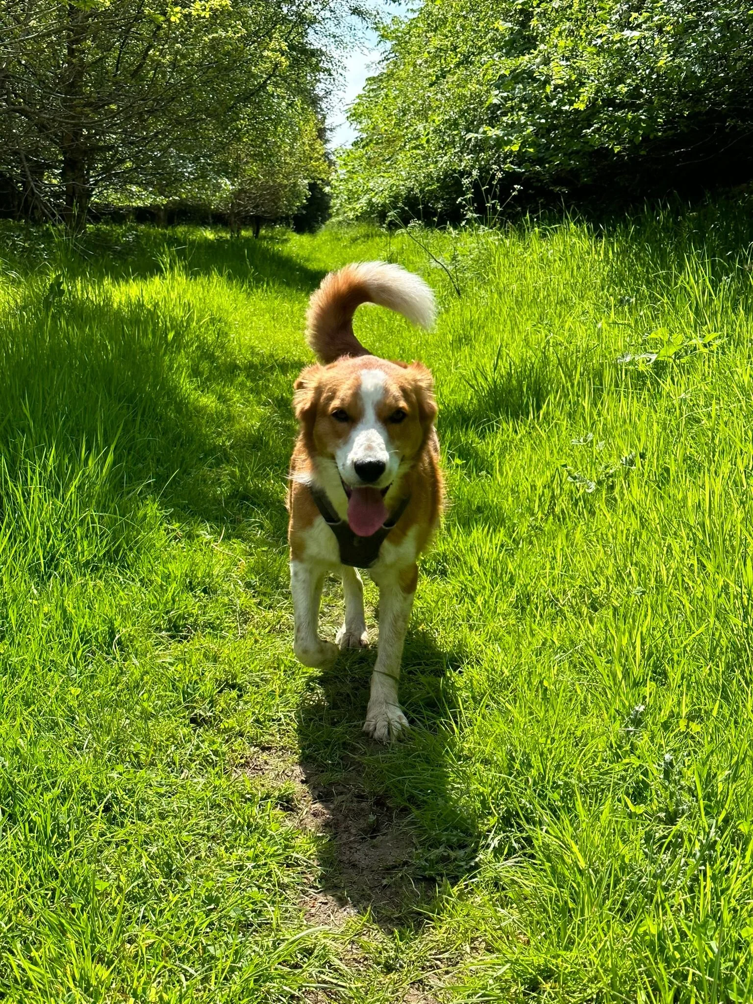 E9C9E612-DD2C-4470-8360-35A935E669C0