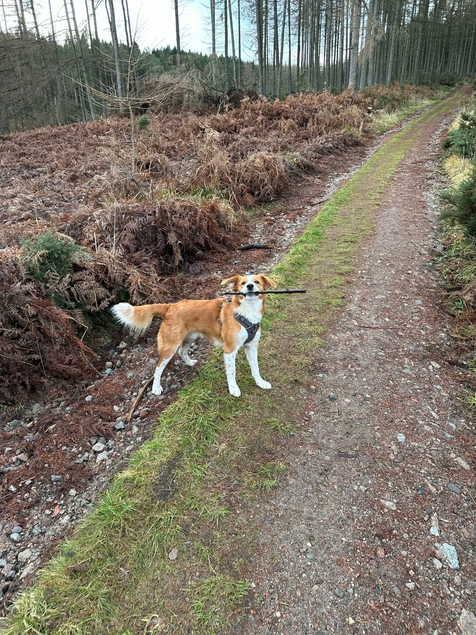 090EFD10-571E-495D-9336-4226D4E90C7B