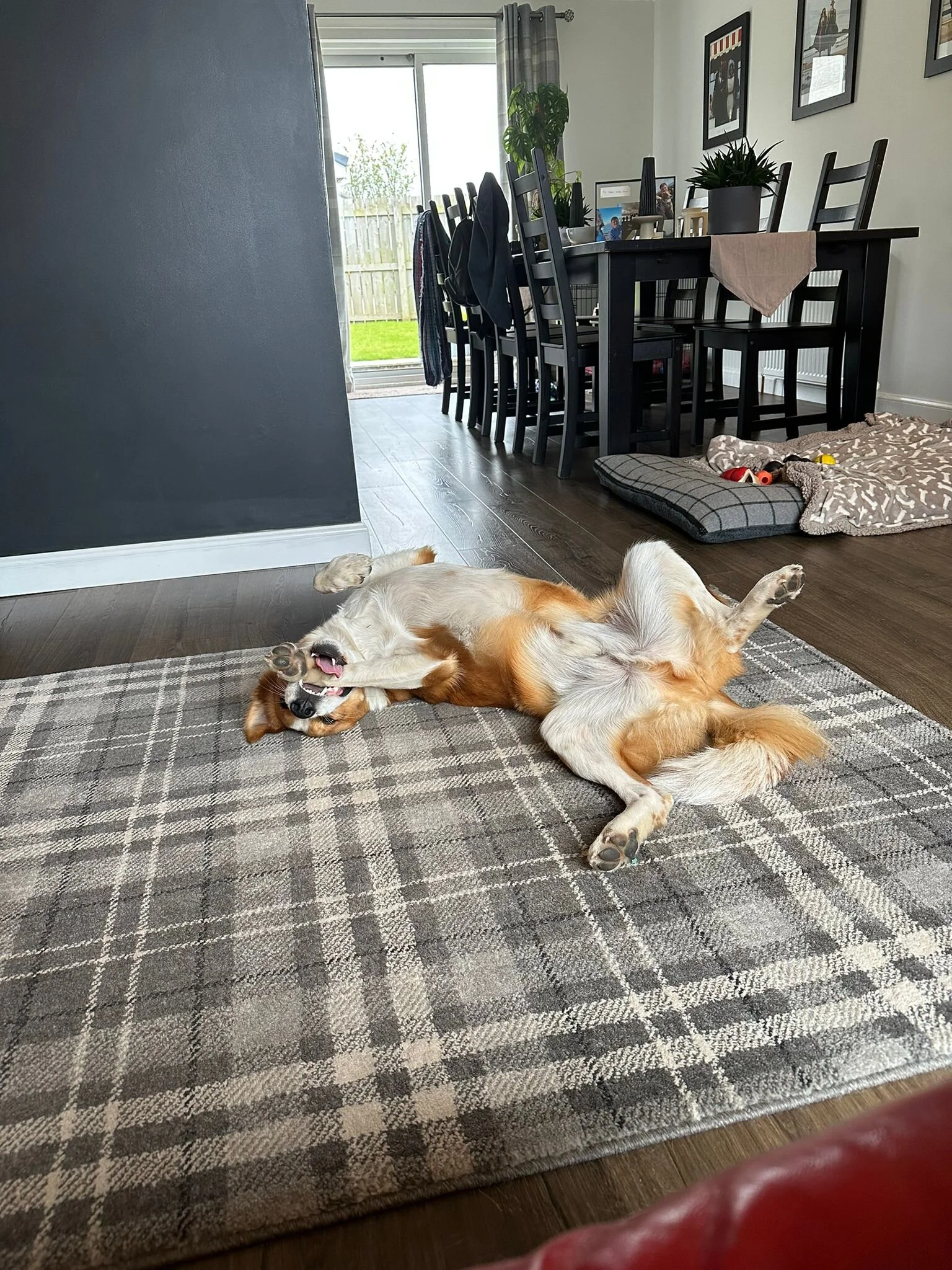 ACFE7296-4867-4D33-AA0B-1C338595B606