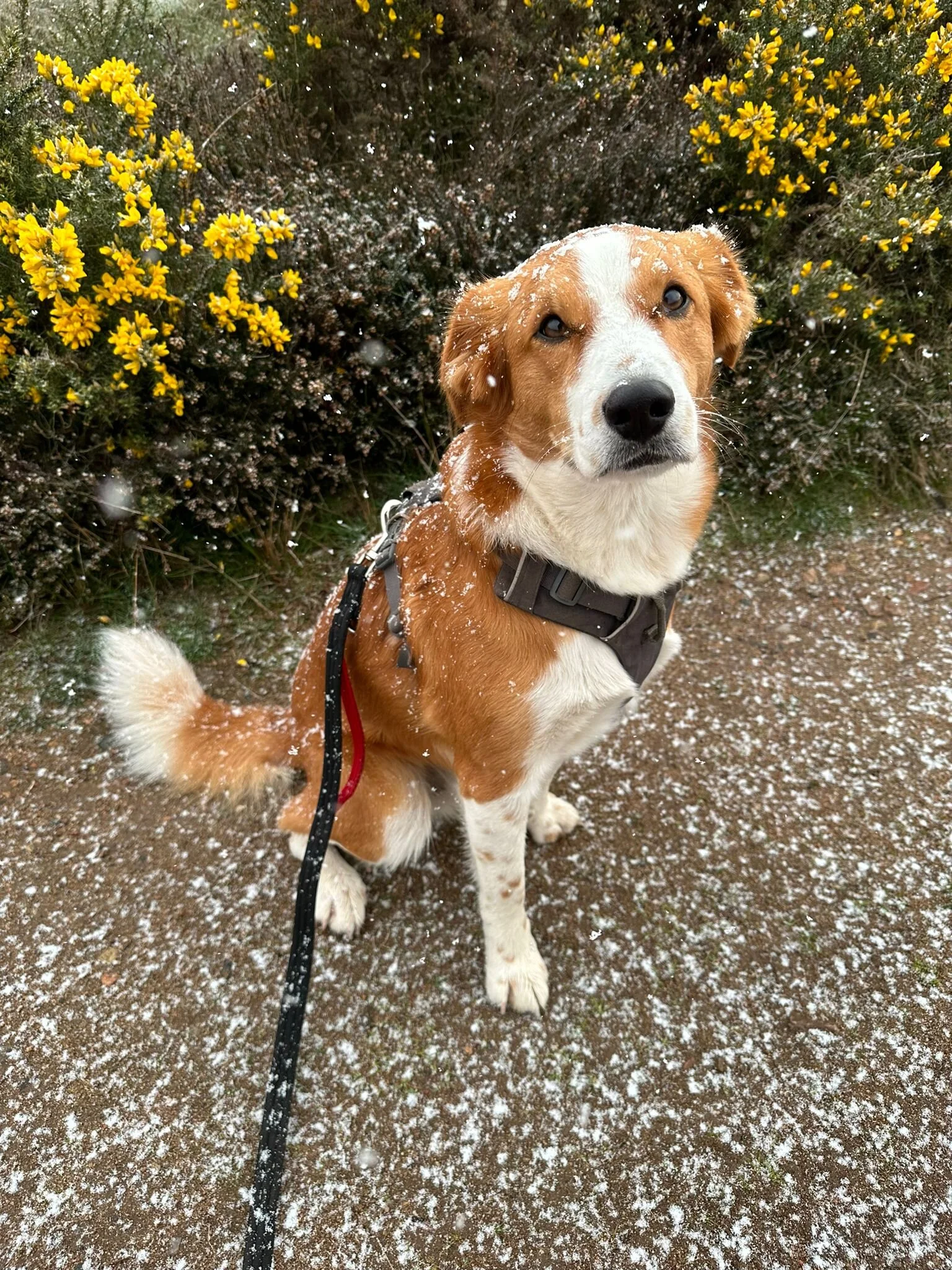 E41CFFC6-7D62-41EE-9A89-B45C9645137D