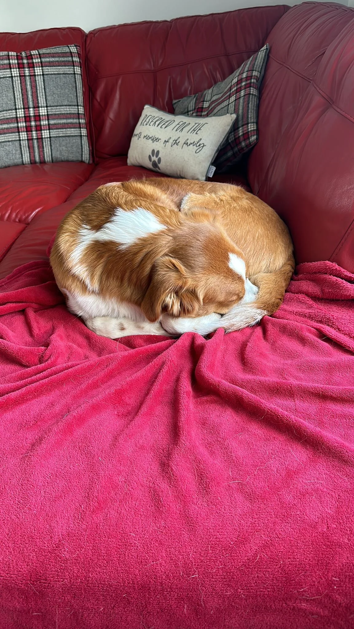 C54195DA-AB18-4432-BF25-F12319844347