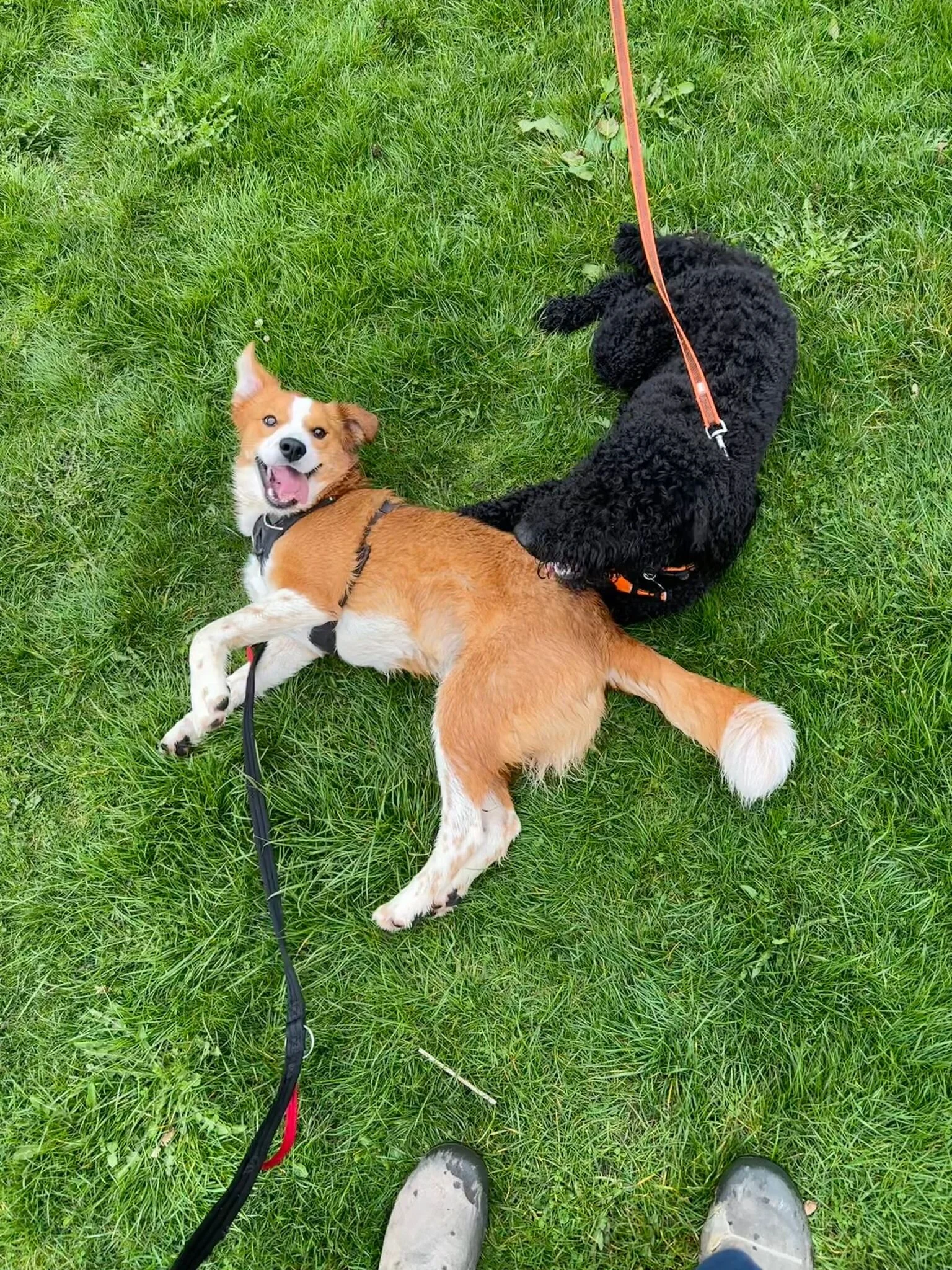 57F326C8-CD35-4F7A-B6E5-5B513A543F5B