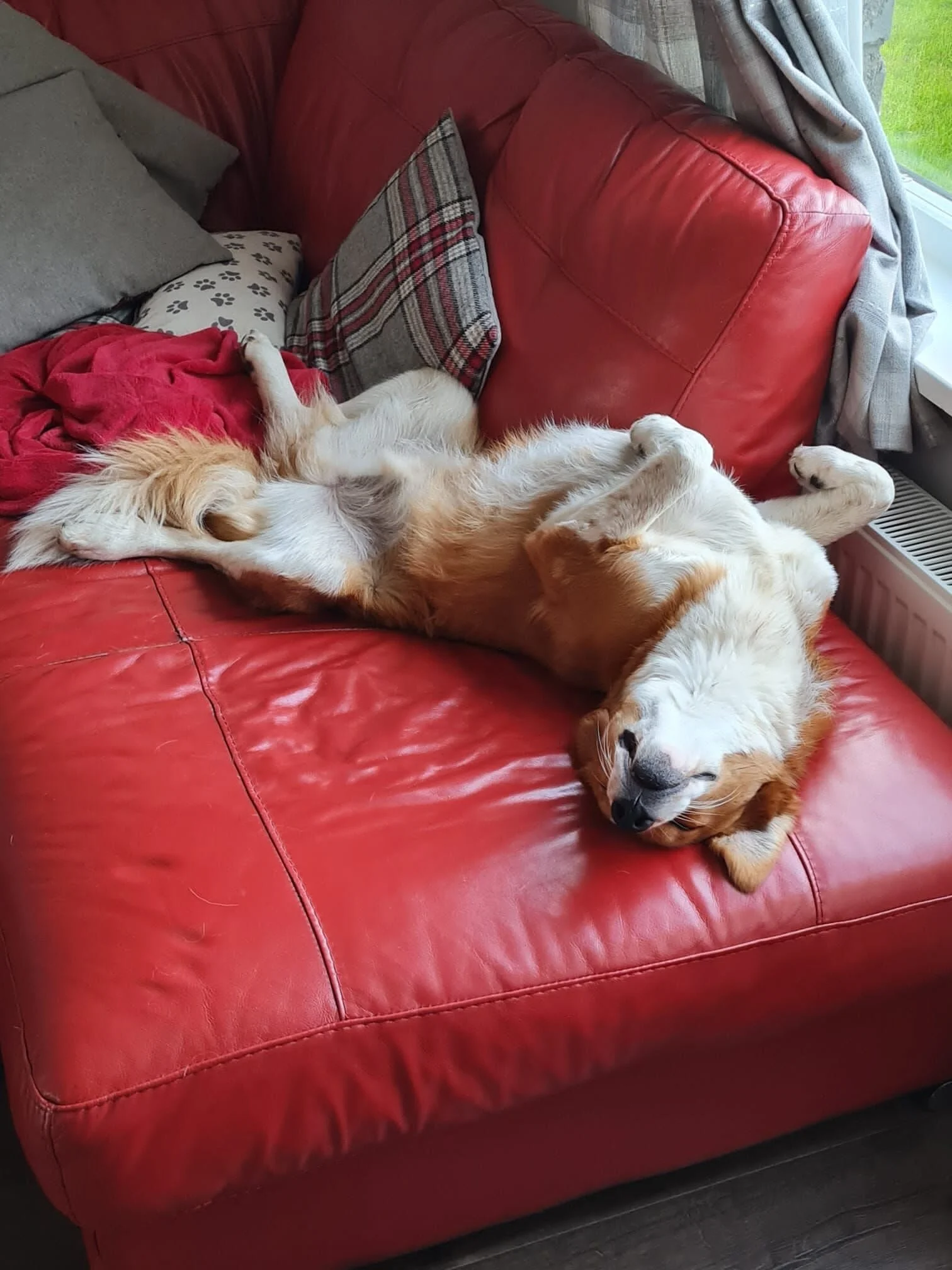 FC4B1D33-50E2-4C6A-AFAC-ED25027DAAD3