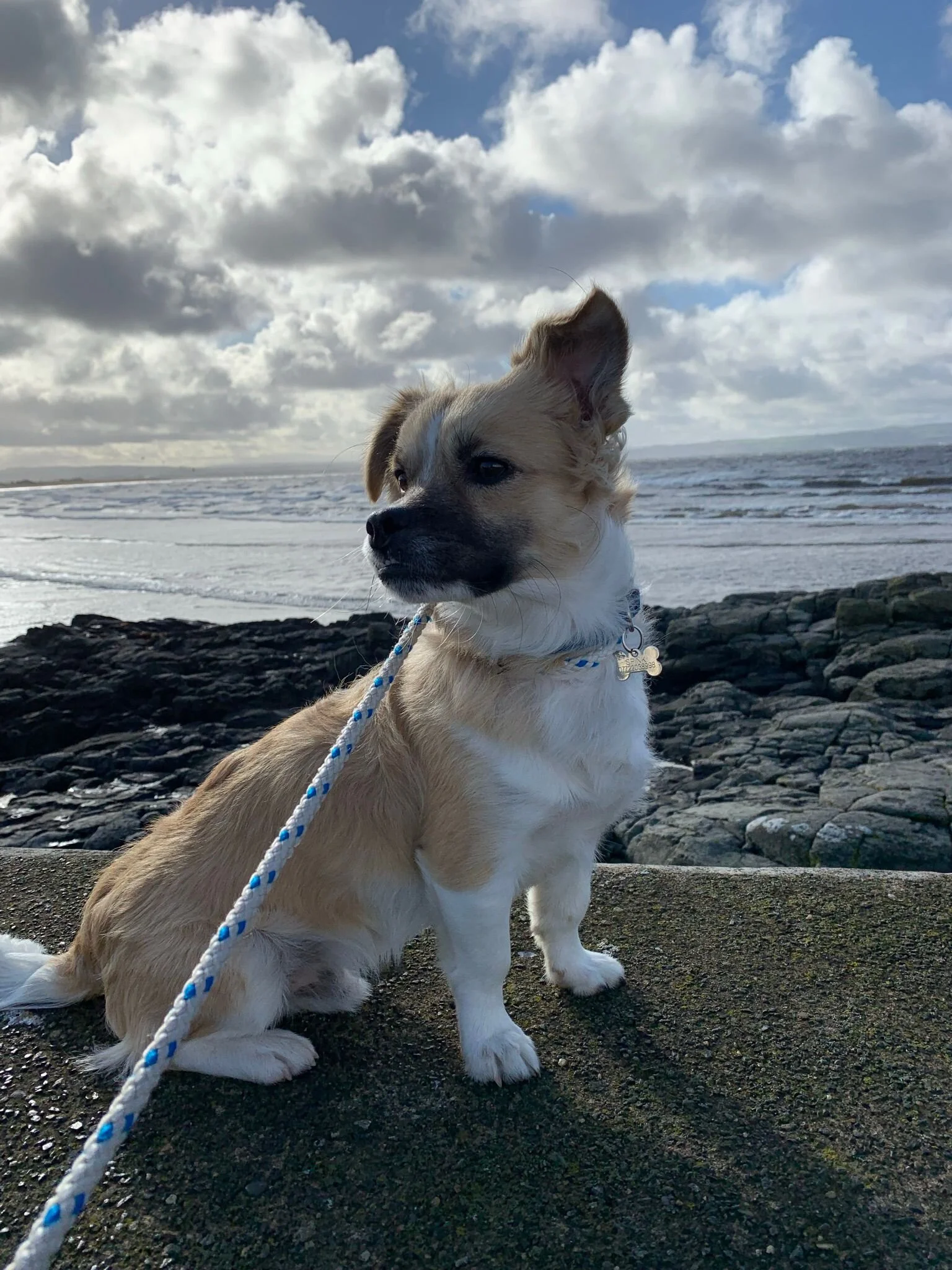 E9AD2219-3CA9-499A-BB25-F2603C8CD2C9