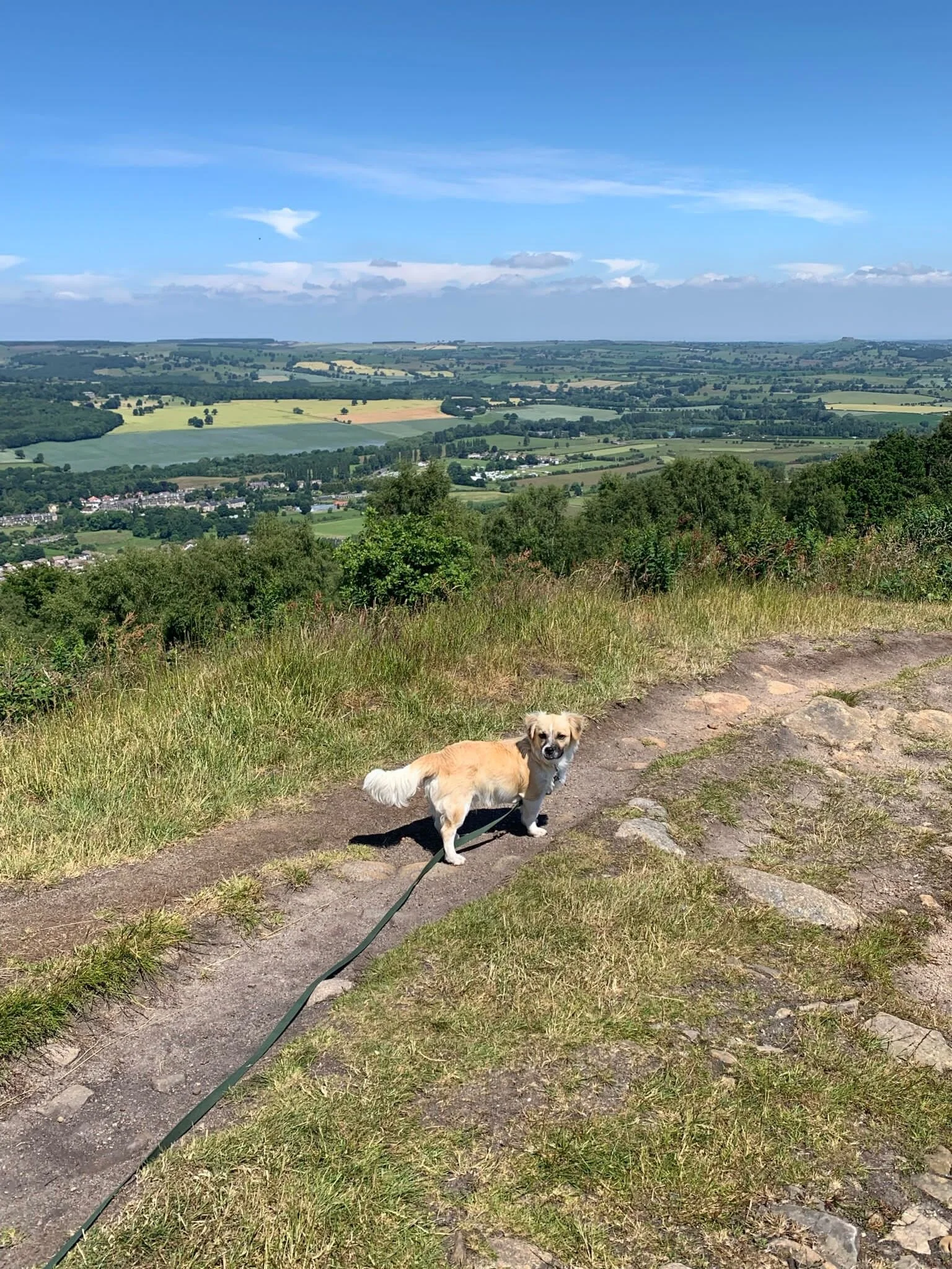 BBC894C7-F057-4892-AF1F-86AE00FD6B8B