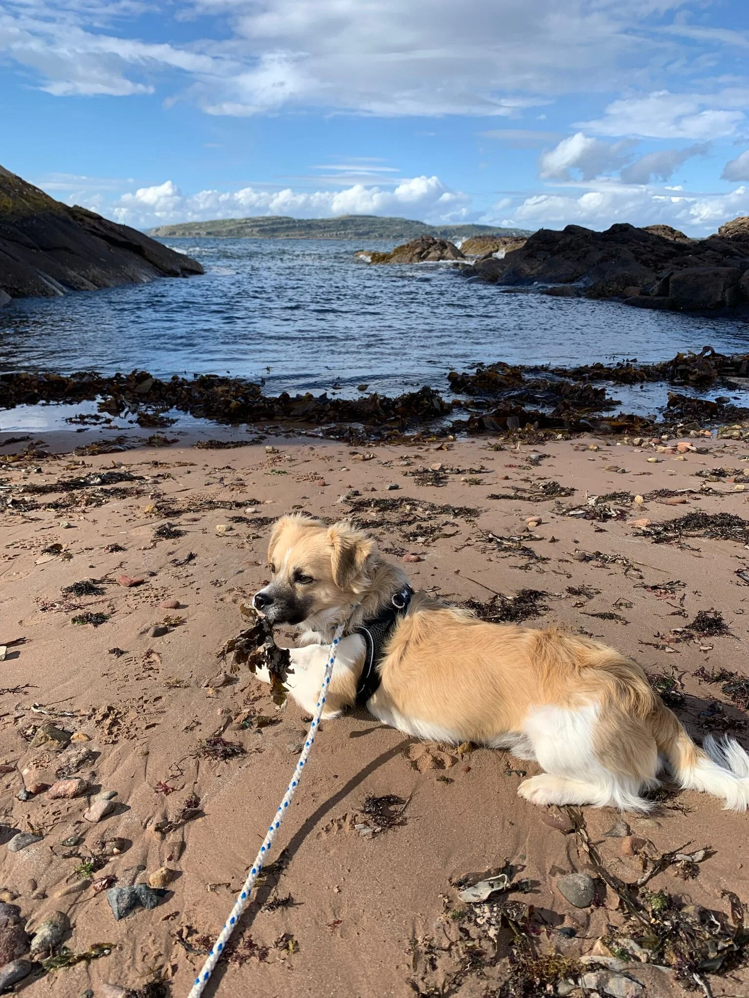 6BC4D5CC-5A7B-47C3-9D0A-F672DE6E5BE4