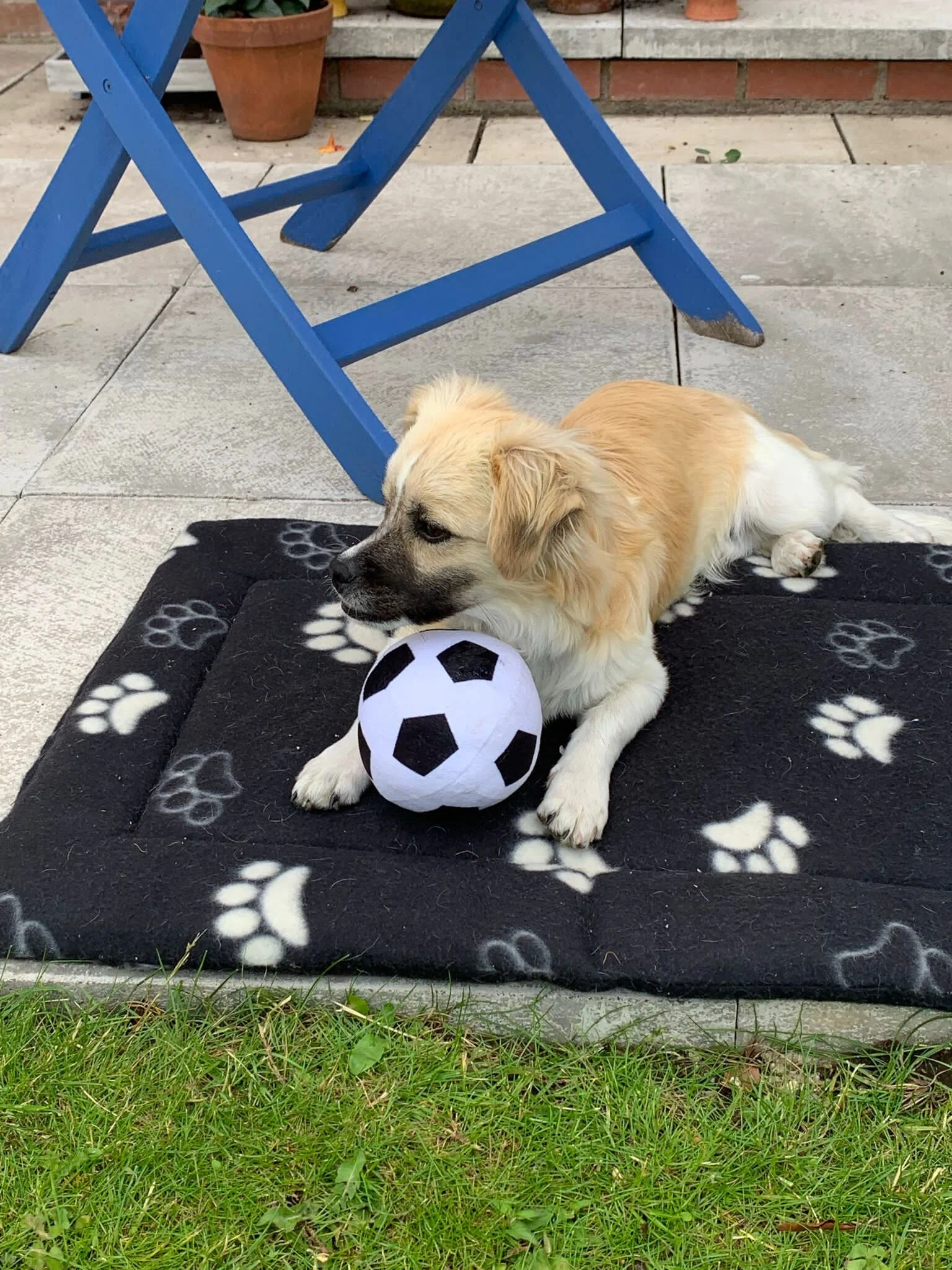 13D874AA-676E-4A7A-9AB8-58C577FC09C3