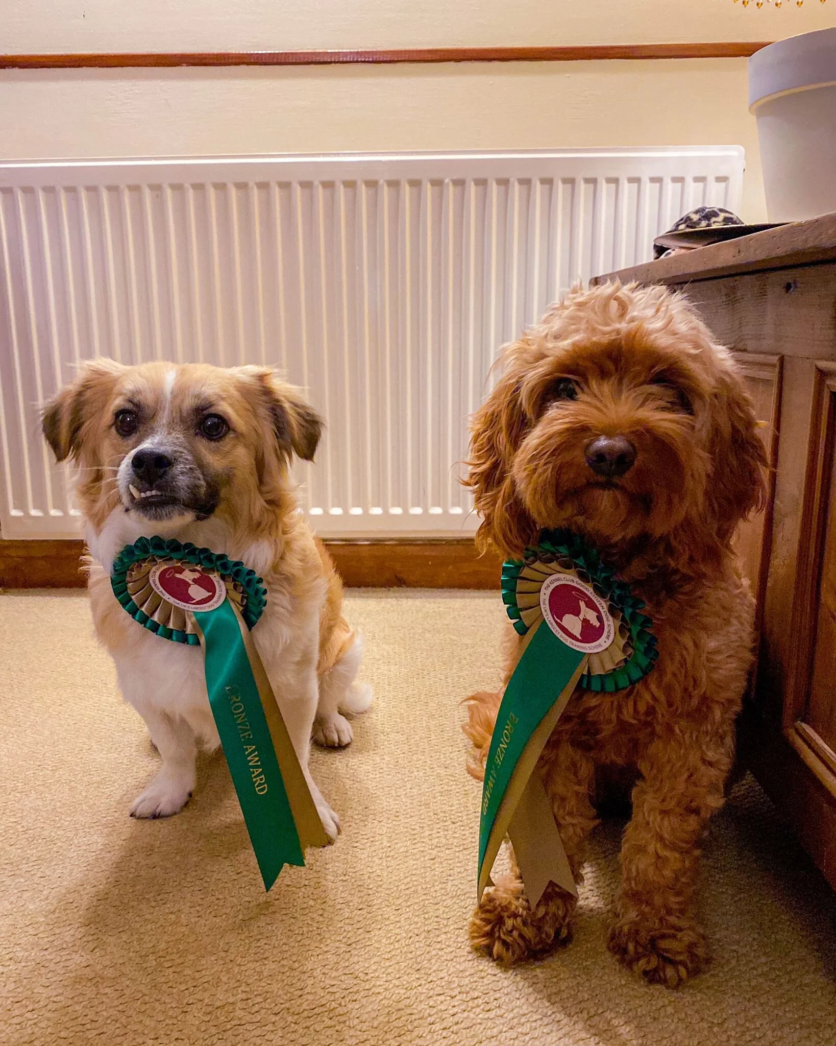 ADEC3772-D486-42B7-A20A-6691BDB084F8