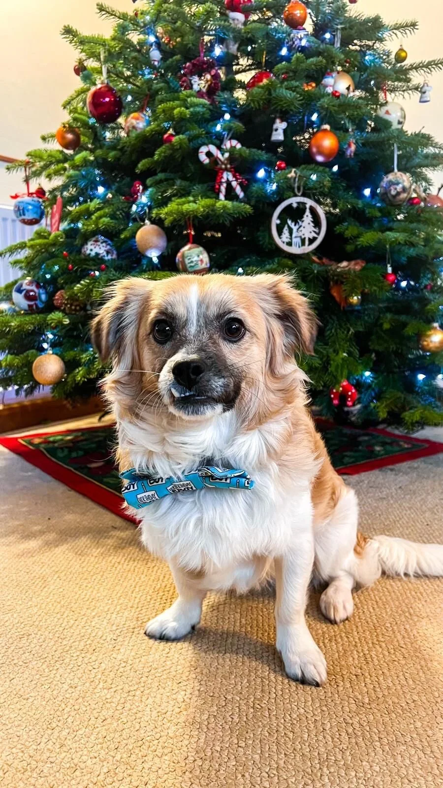 10CCA4BF-F623-48B6-B00F-CDE472F8577A