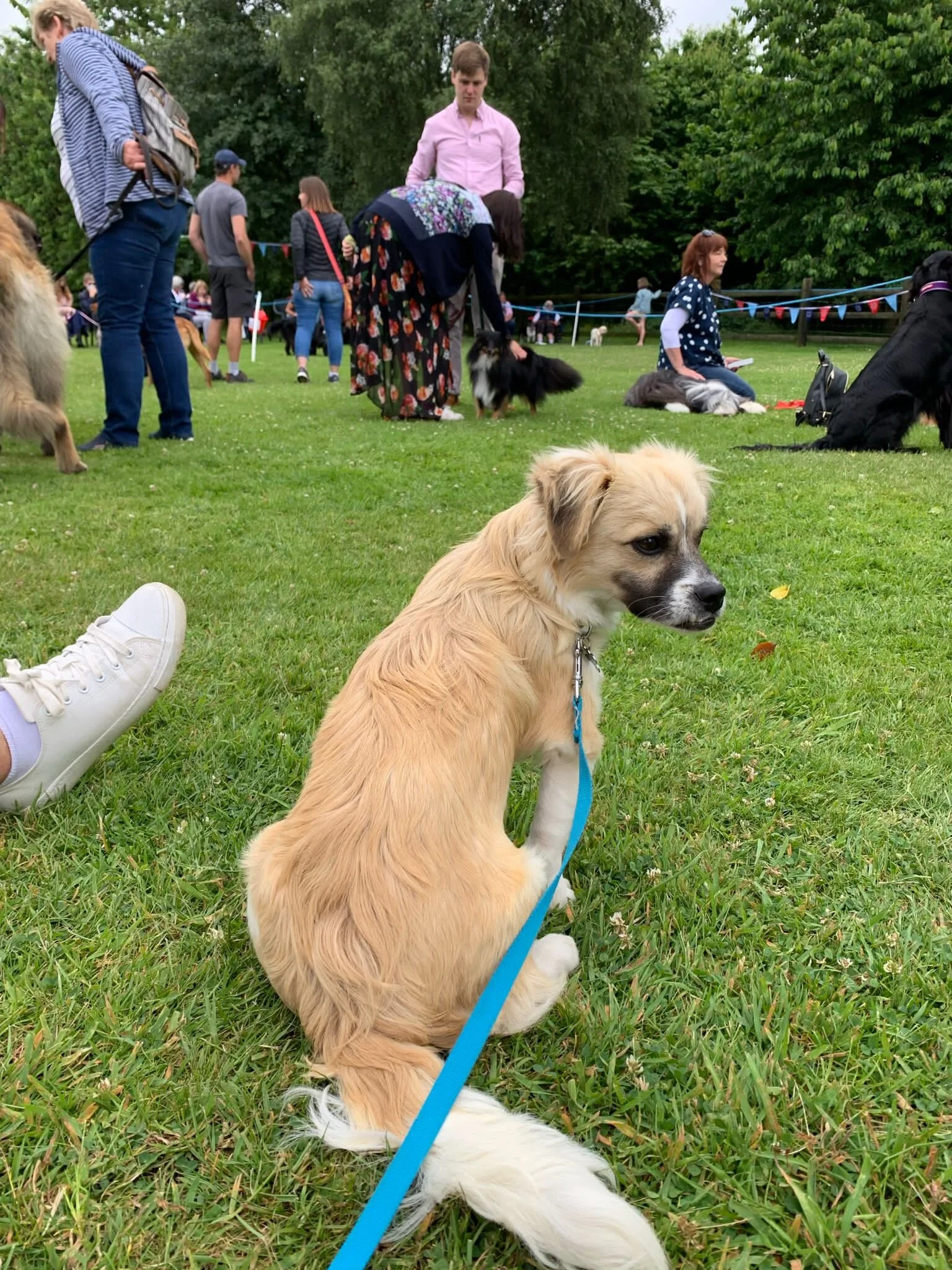 C459DD84-30AF-424B-B9D1-13C32D560BCB