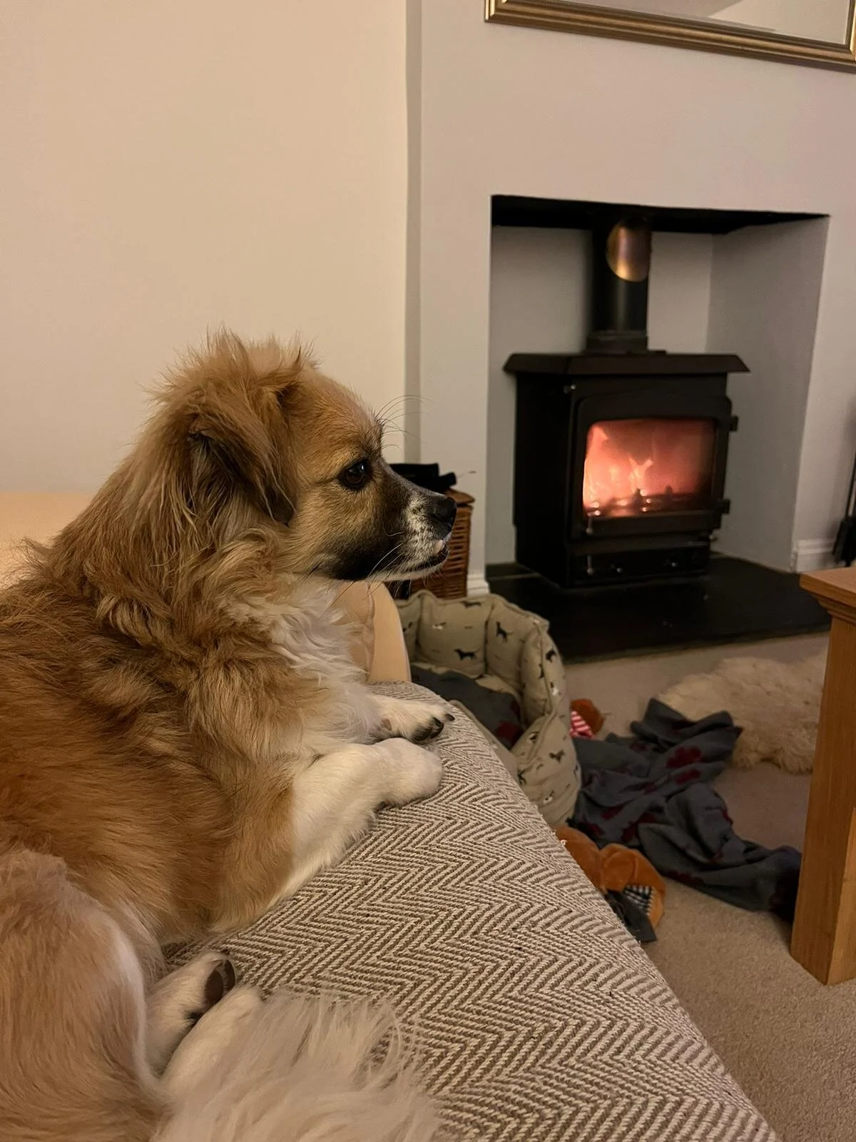 024D1BD8-A765-4F1F-9592-623C85D2FFD7